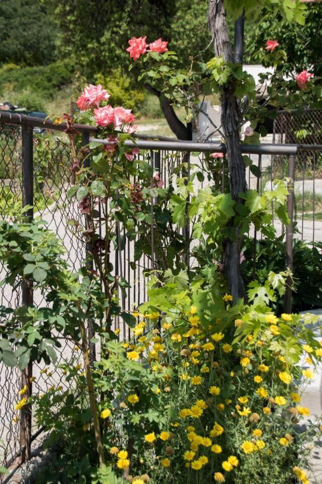 Apartment Bruna-Balcony & Free Parking near Split