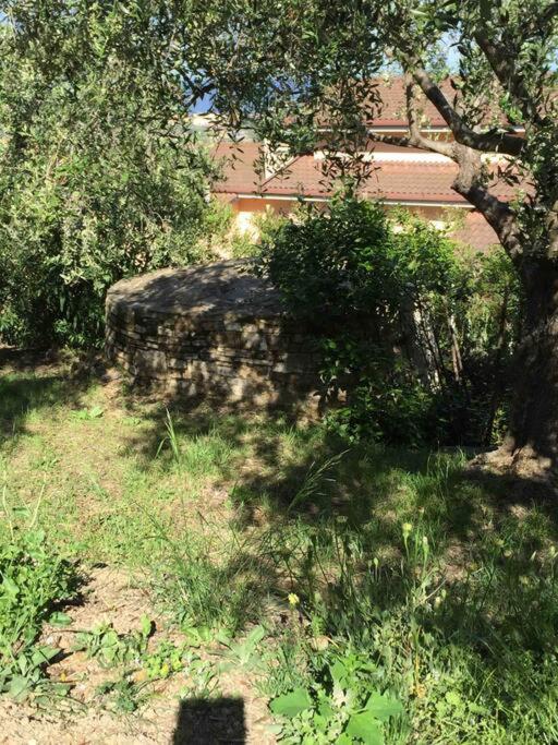 Casa Solemar view 5