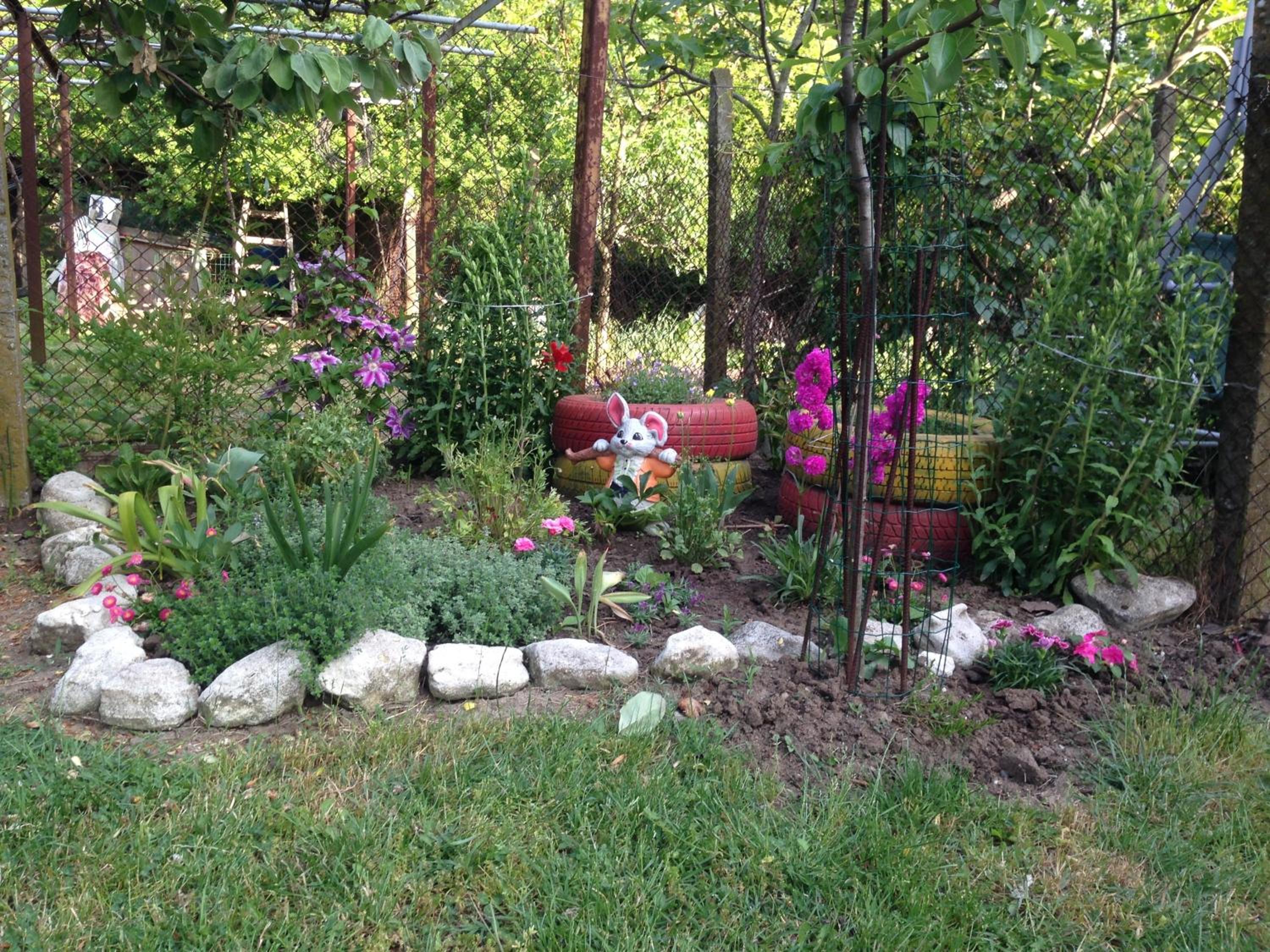 Photo 16