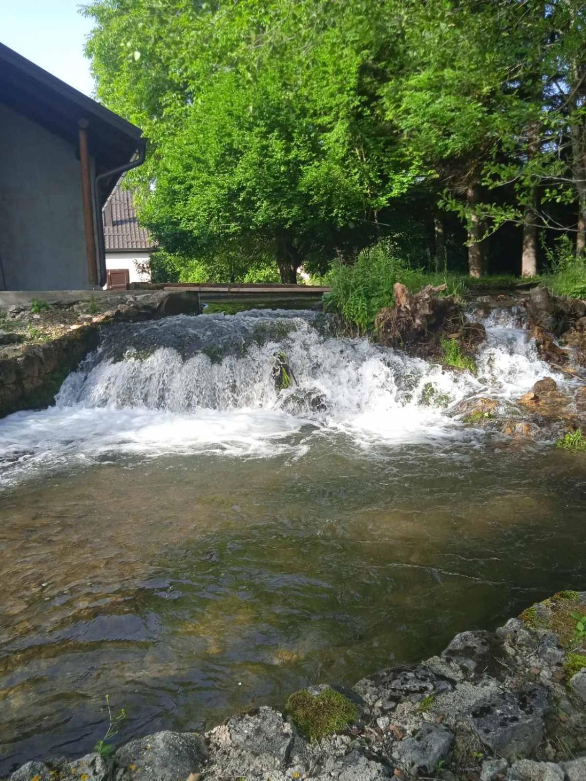 Photo 41