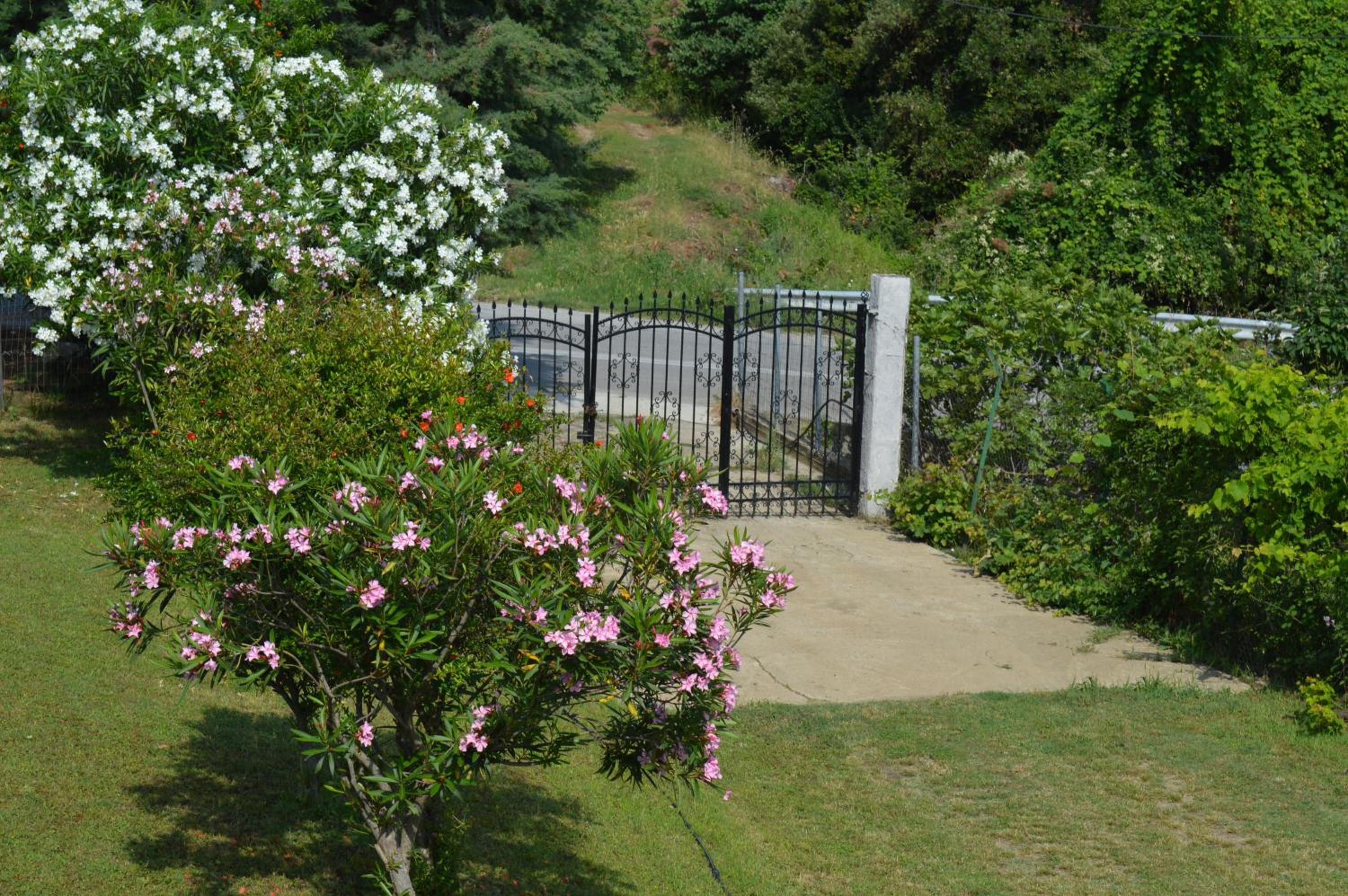 Photo 41