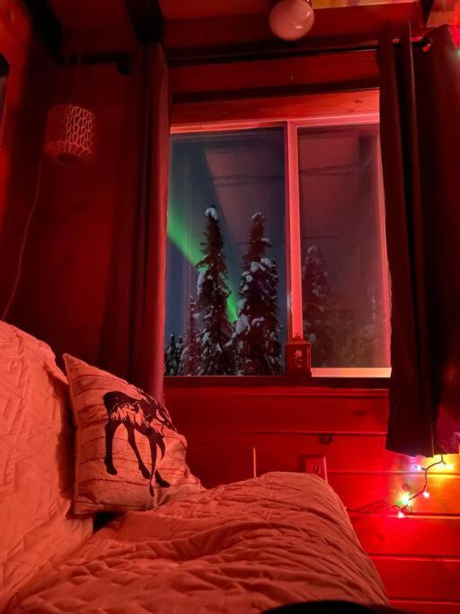 Hotel A Dry Cabin You Won't Want to Leave - Image 1