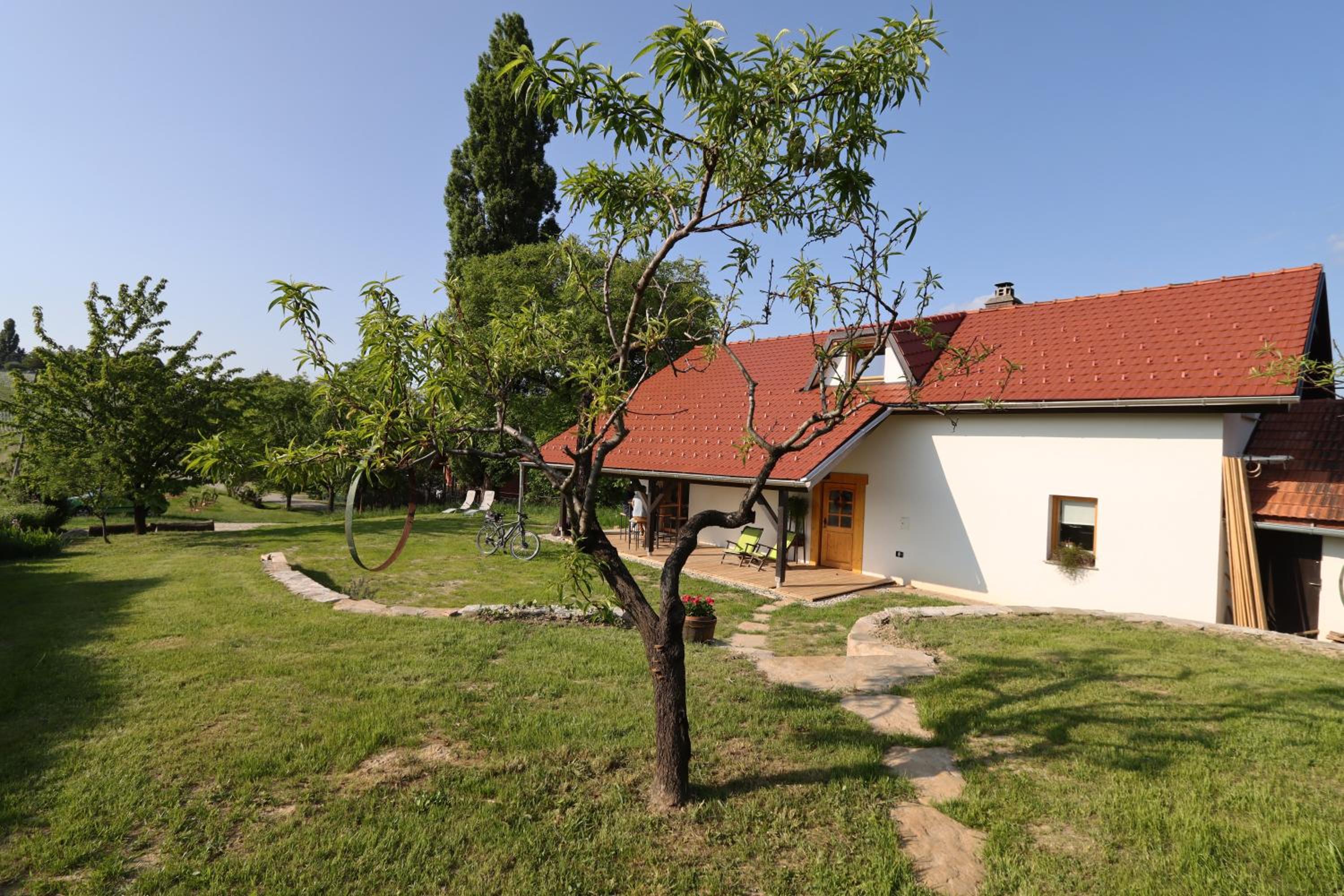 Photo 23