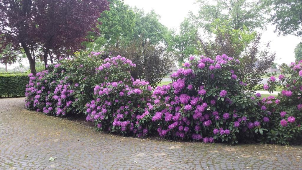 Unieke Twentse boerderij - 4 bedrooms & huge private garden view 4