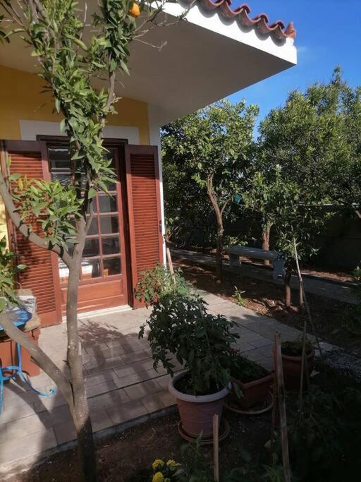 Sounio , Garden house view 4