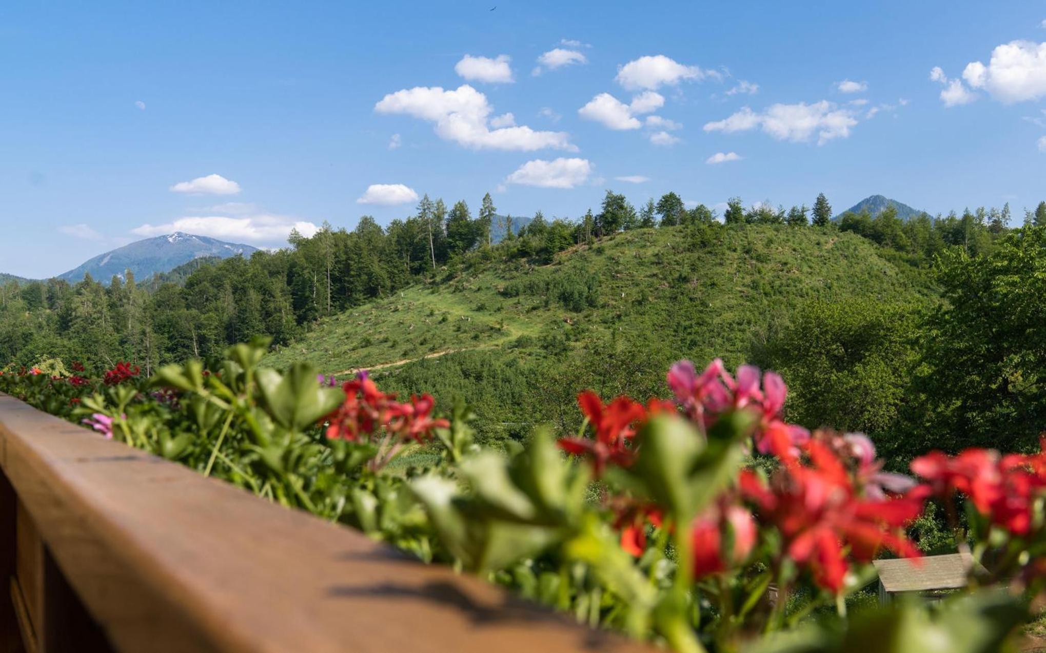 B&B Gösselsdorfer Seeblick