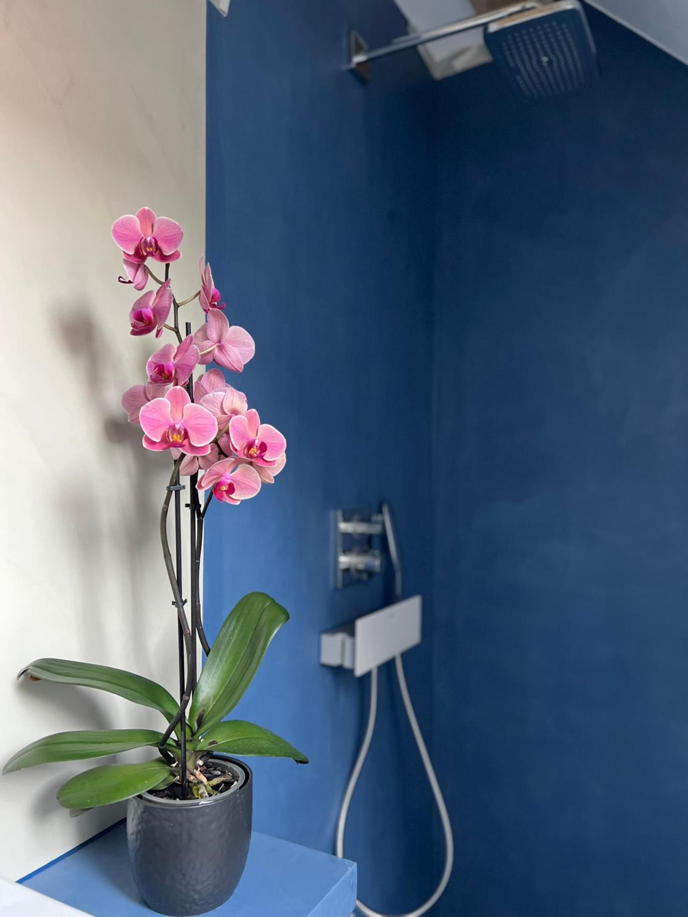 MARYS family friendly Apartments,VISIT RHINE FALLS for FREE if you stay 2 nights, SOHO 95m2 2-Bedrooms 2nd floor & SOUTH BEACH 105m2 3-Bedrooms & LOFT 115m