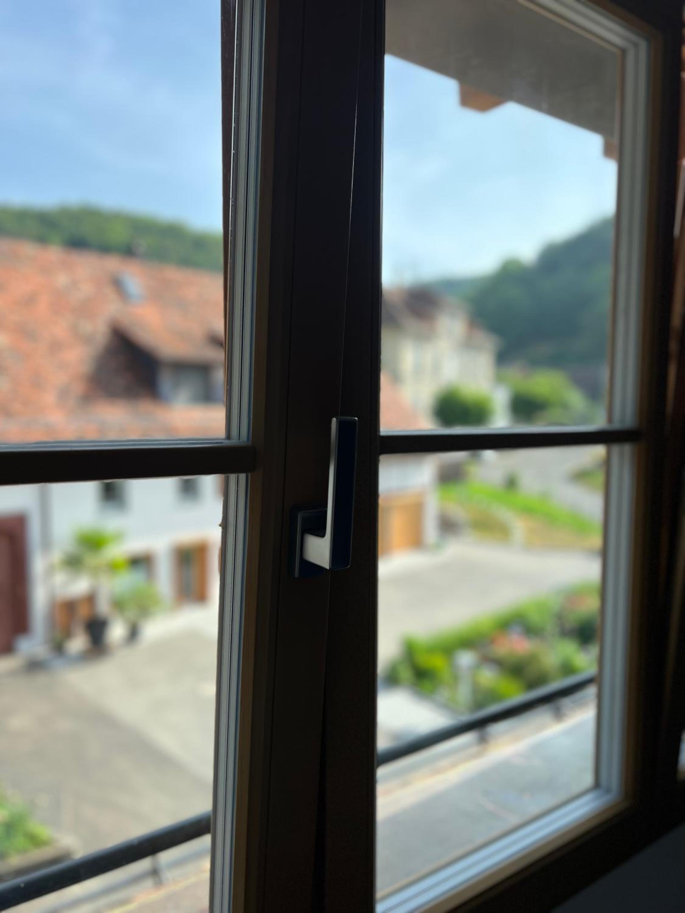 MARYS family friendly Apartments,VISIT RHINE FALLS for FREE if you stay 2 nights, SOHO 95m2 2-Bedrooms 2nd floor & SOUTH BEACH 105m2 3-Bedrooms & LOFT 115m
