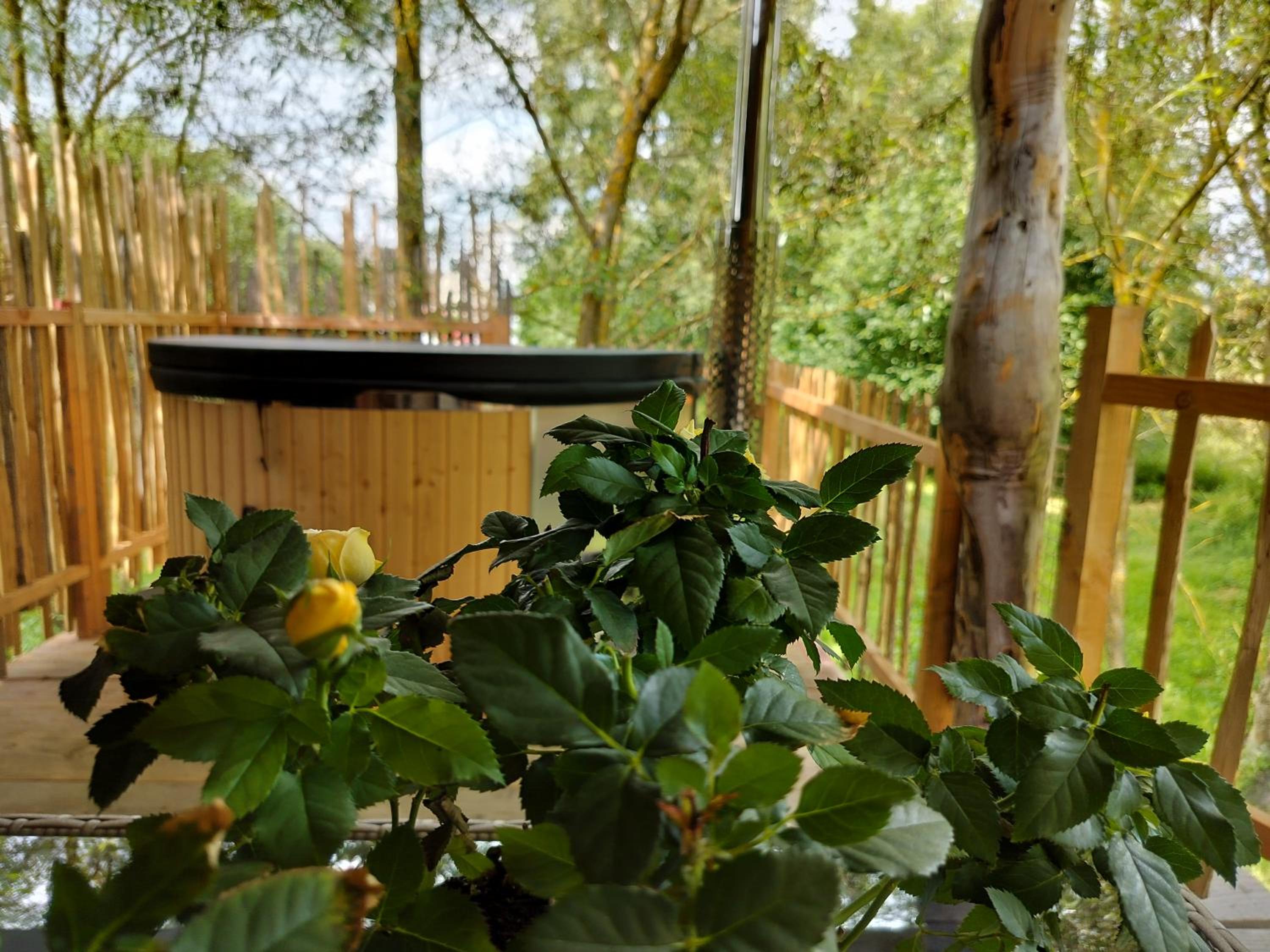 La Cabane d'Ode
