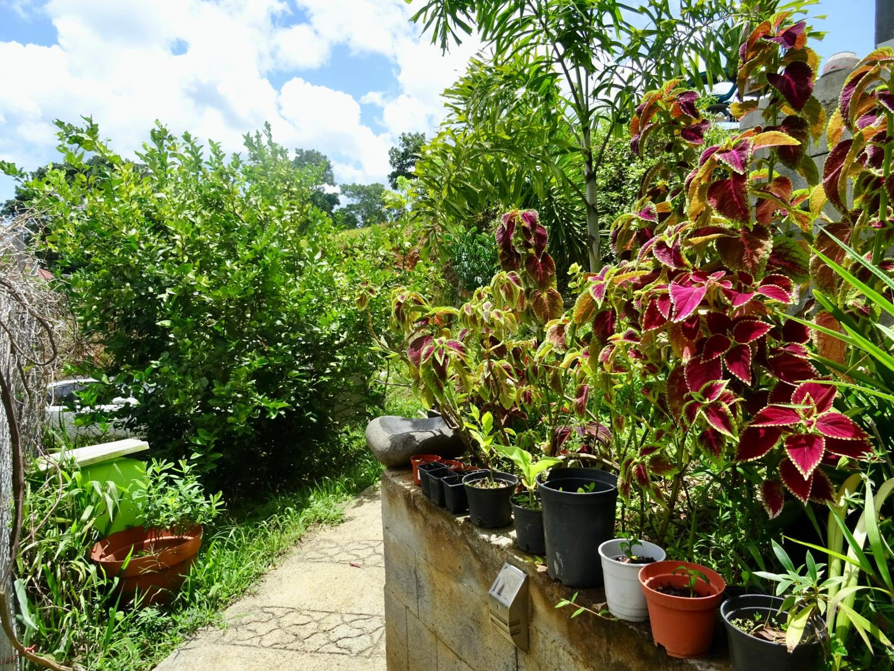 Bungalow DOUROU
