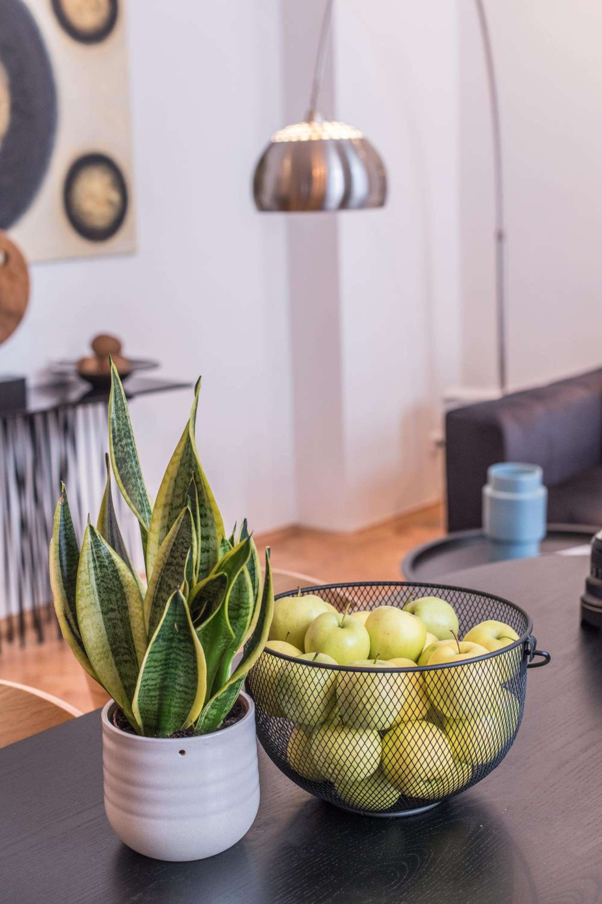 New design APT - central location Wenceslas Square
