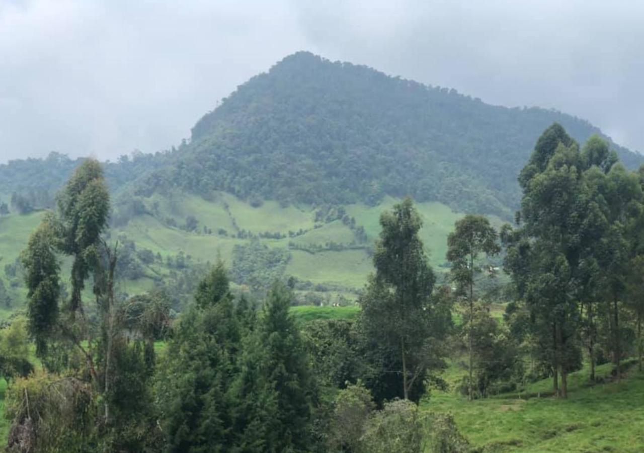 Hotel Cabañas y Chalets lujosos Mágica Luna Manizales