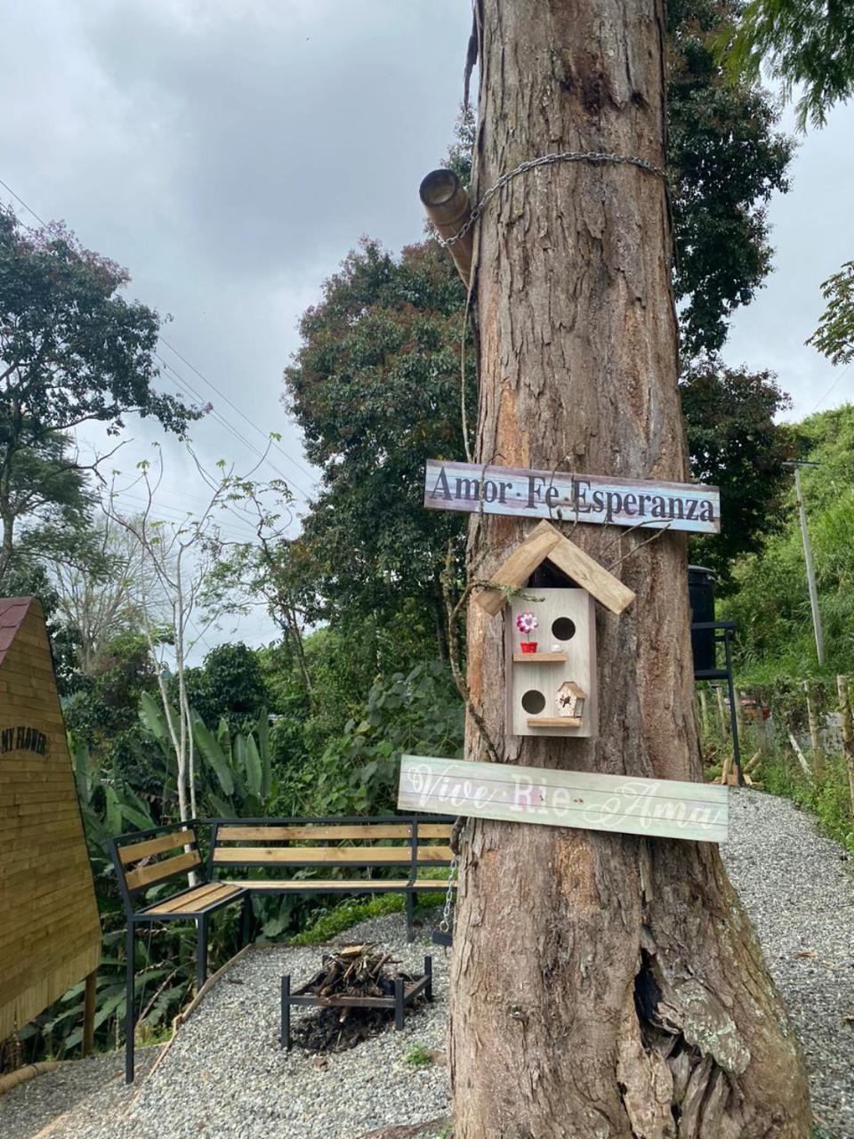Glamping Villa Gilma