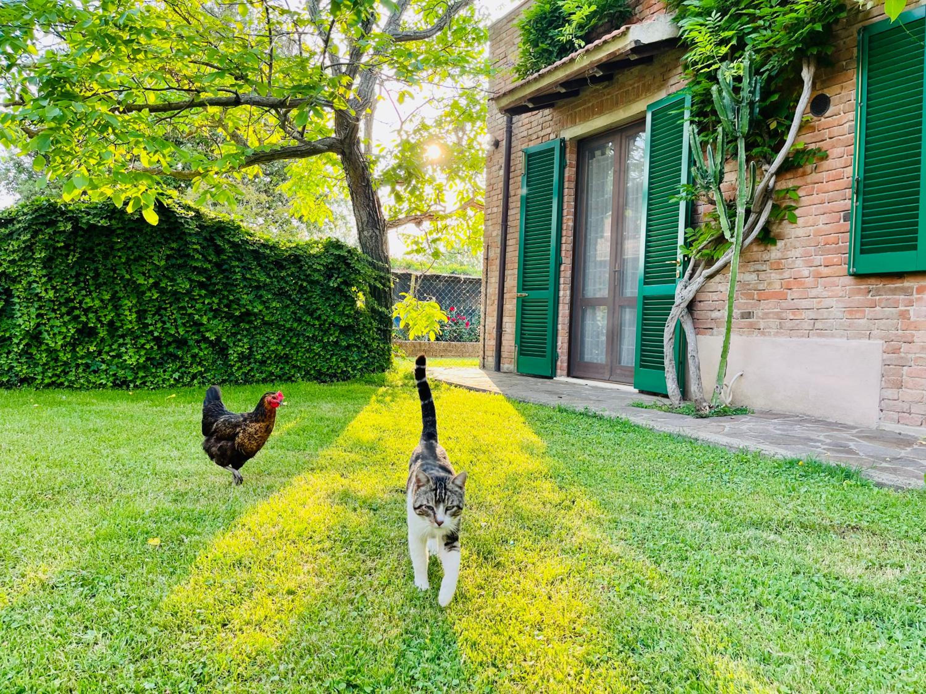 Agriturismo Salcino view 5