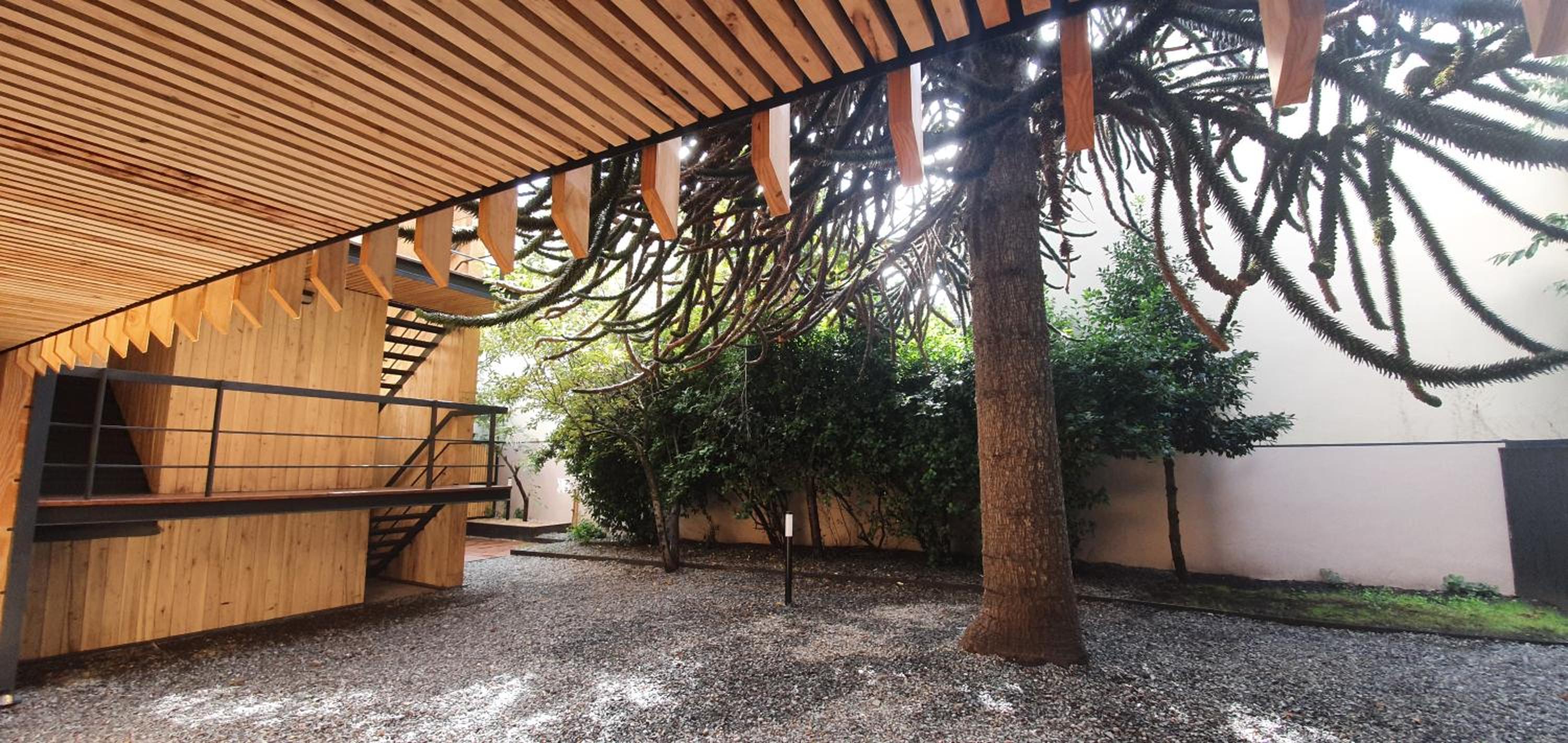 Hermoso monoambiente de diseño único, con patio, en el centro de SMA. 4v5