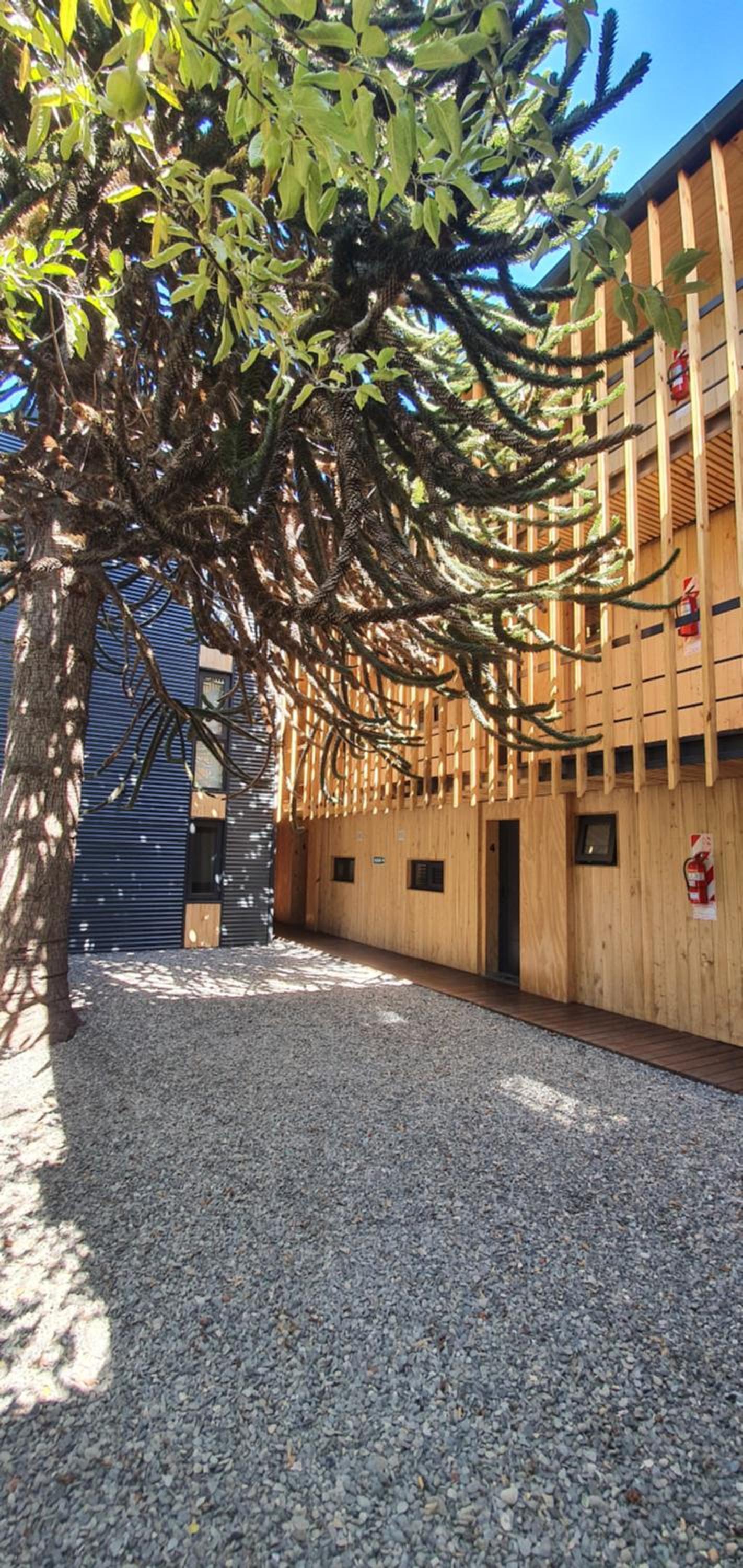 Hermoso monoambiente de diseño único, con patio, en el centro de SMA. 4v5