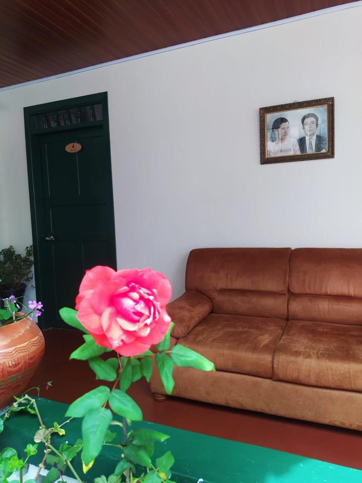 Villa Alioc