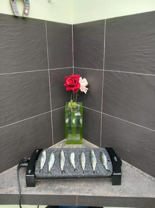 apartamento 3 corazones