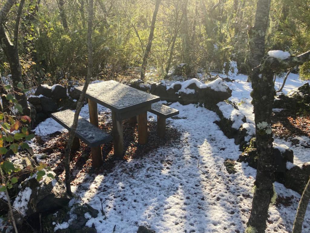 Cabañas, M Refugios Termas de Chillán