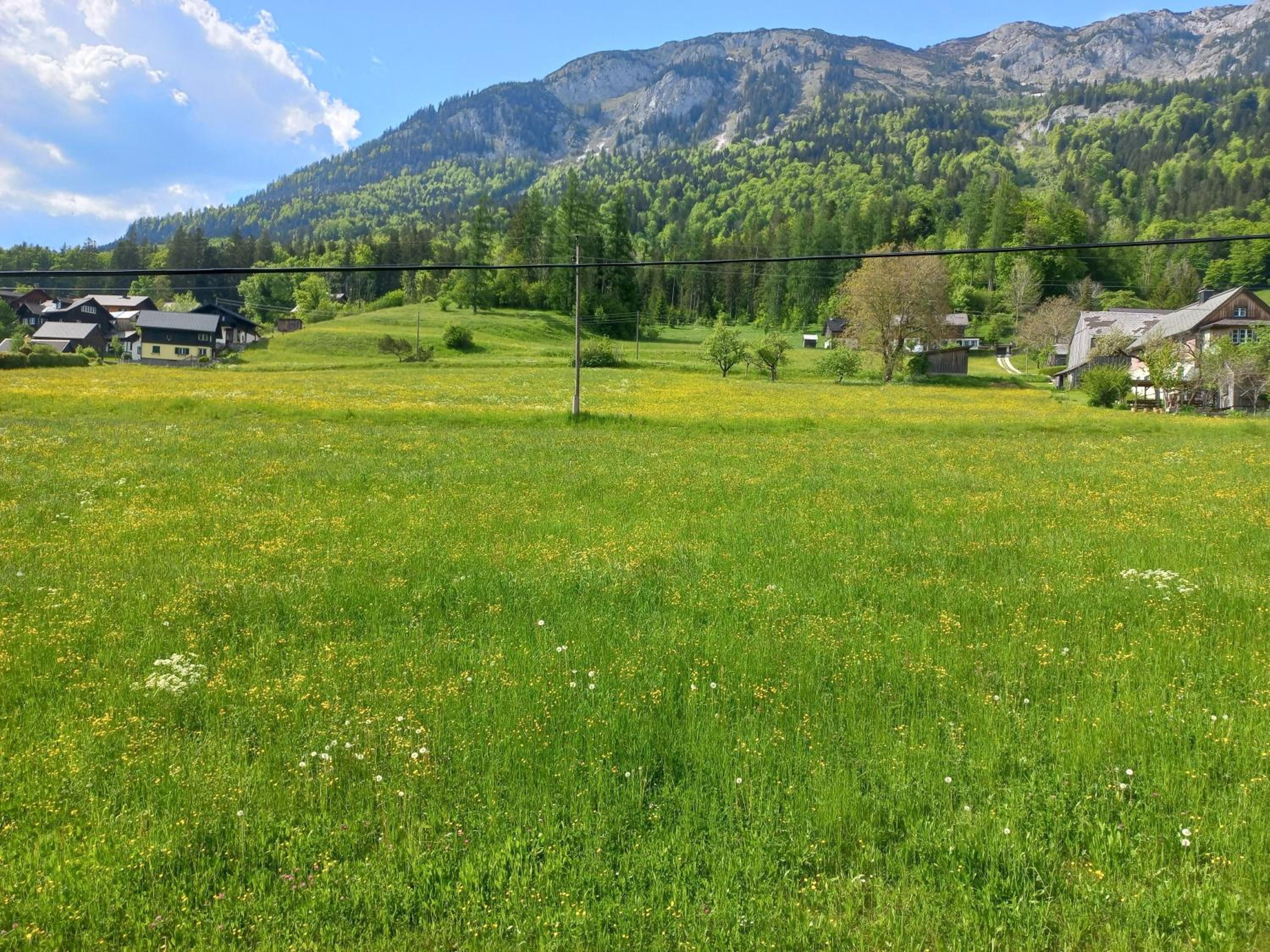 Appartements direkt am See