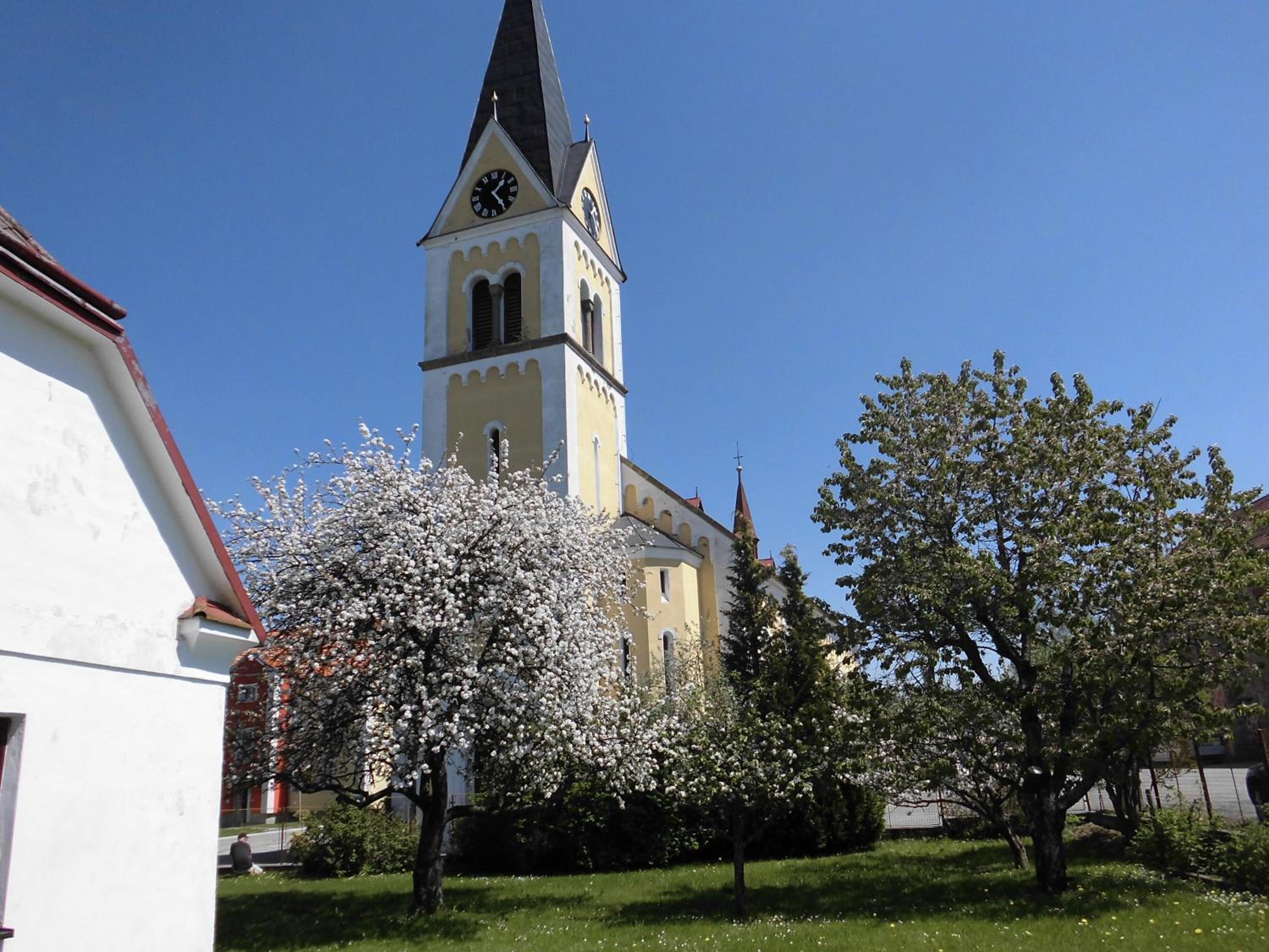 Photo 26