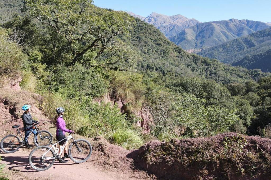 Complejo de Cabañas Eco-sustentables - La escondida -
