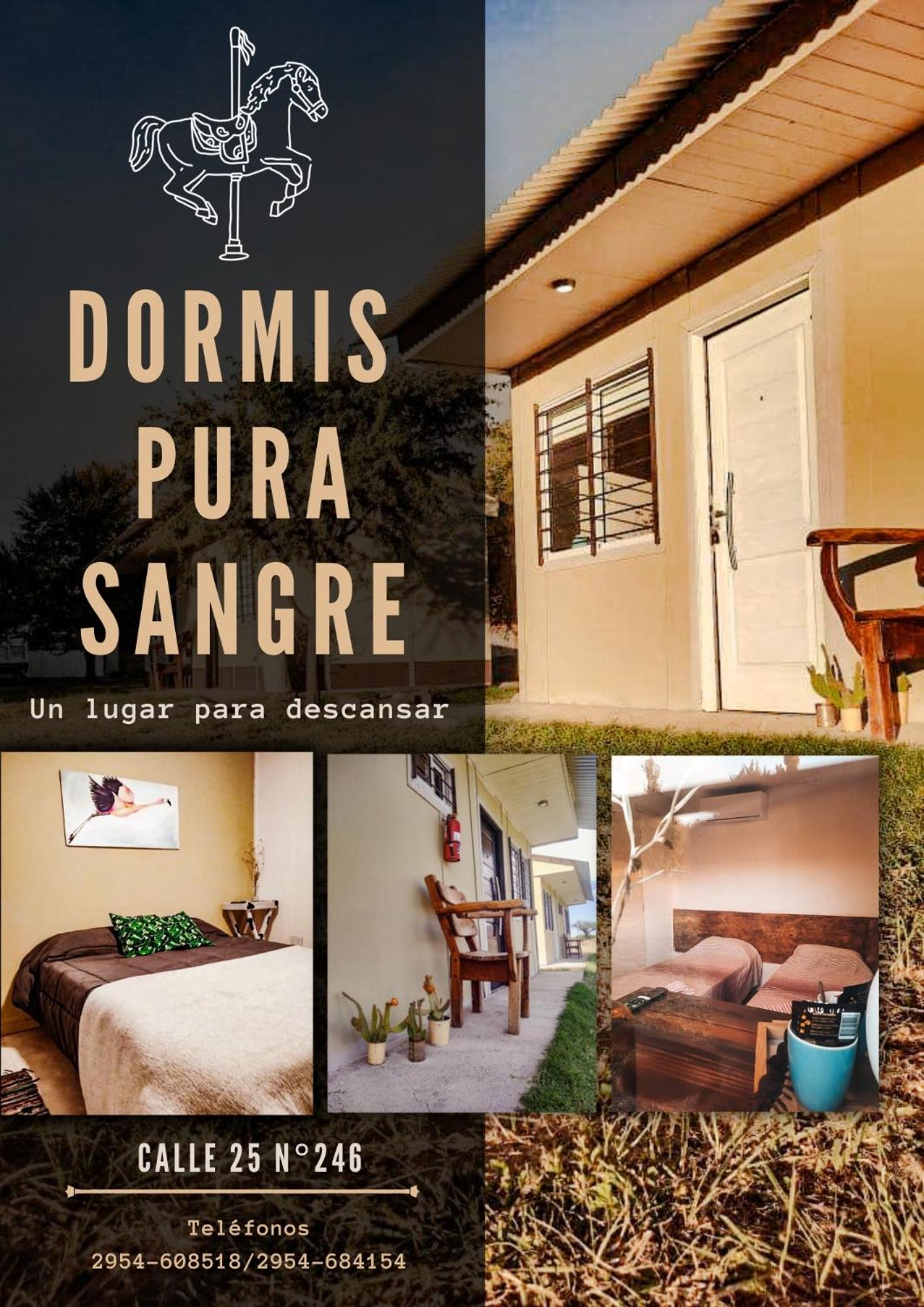PURA SANGRE