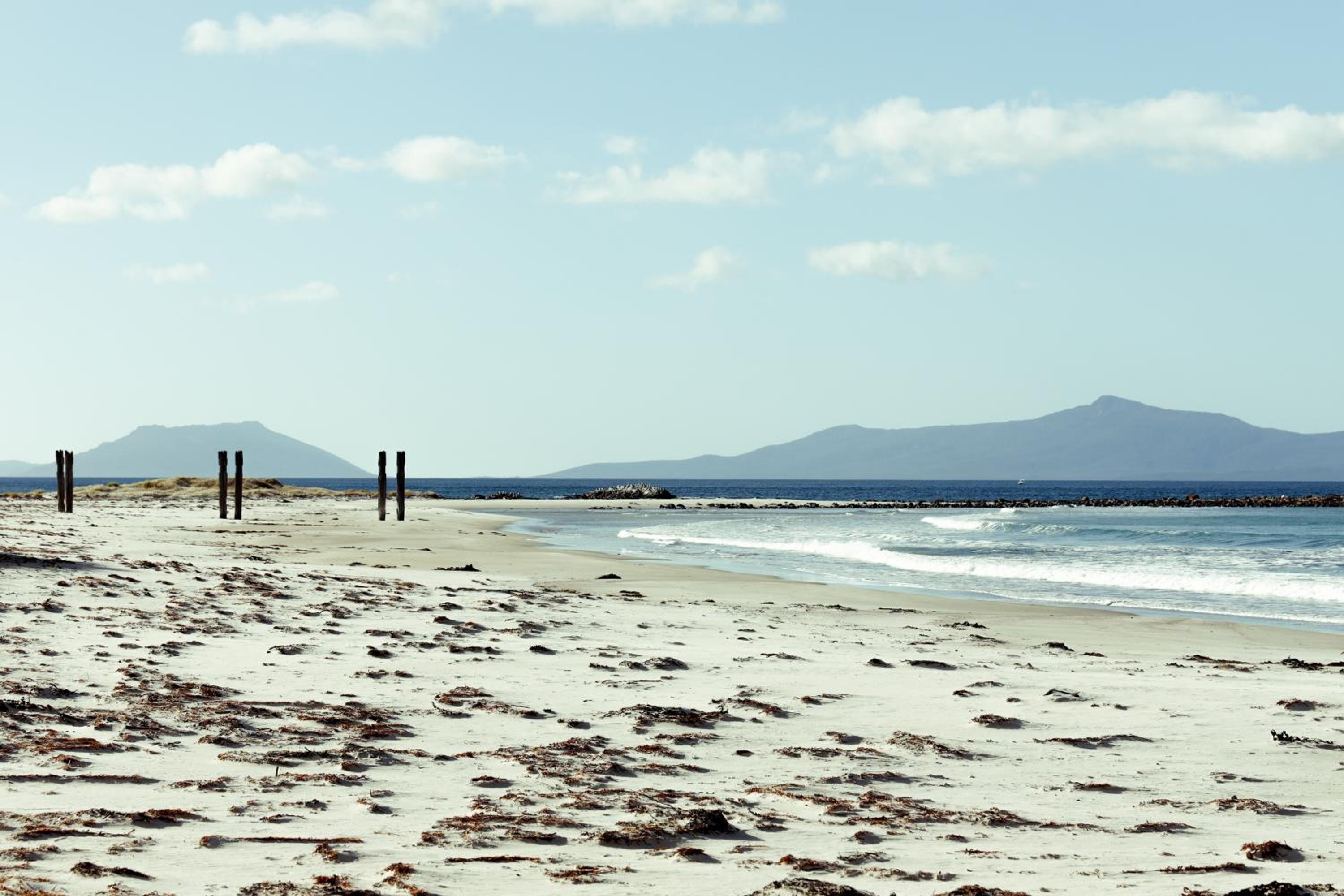 Pip's Place - Lisdillon - Waterfront