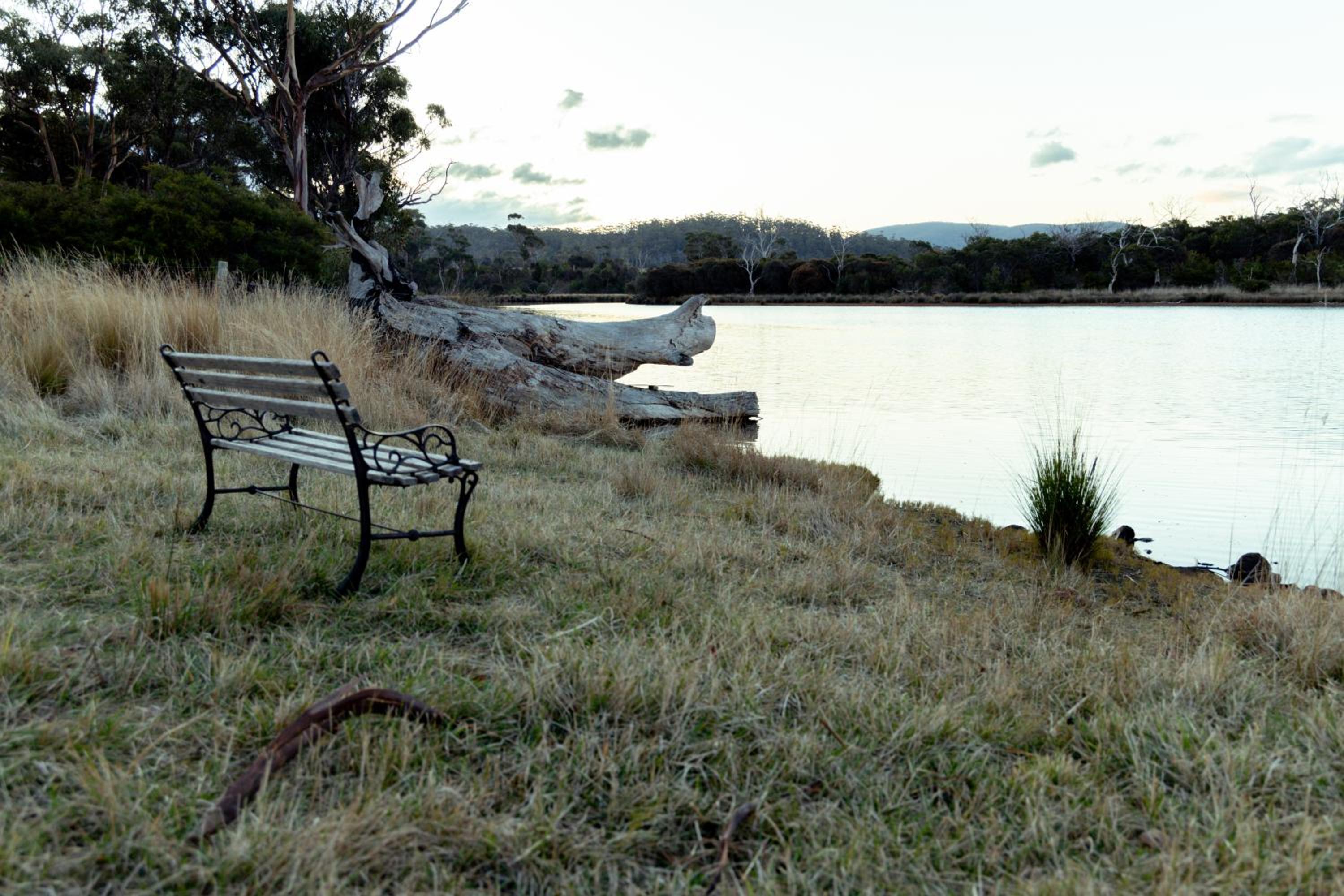 Pip's Place - Lisdillon - Waterfront