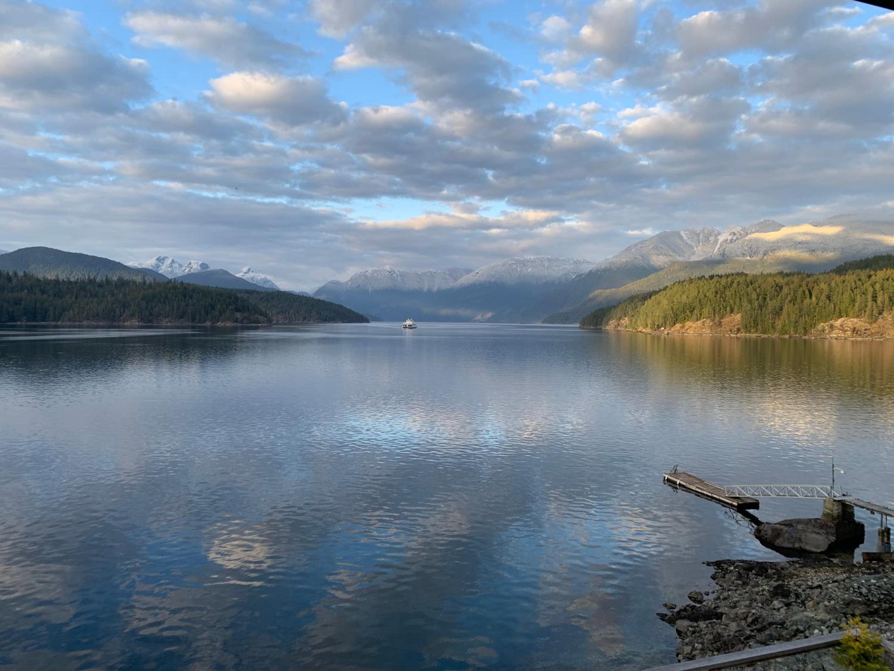 Earls Cove Orca View