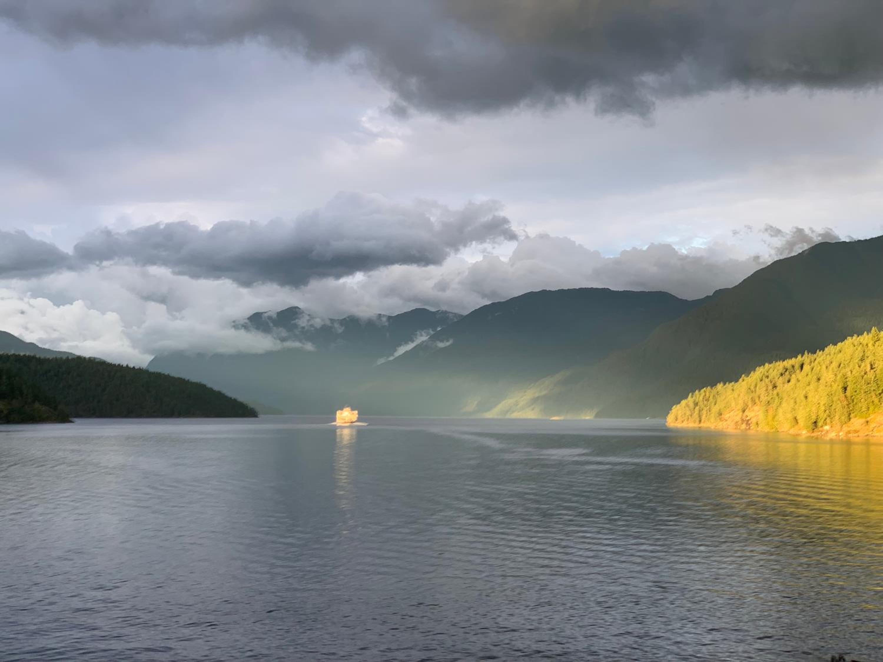 Earls Cove Orca View