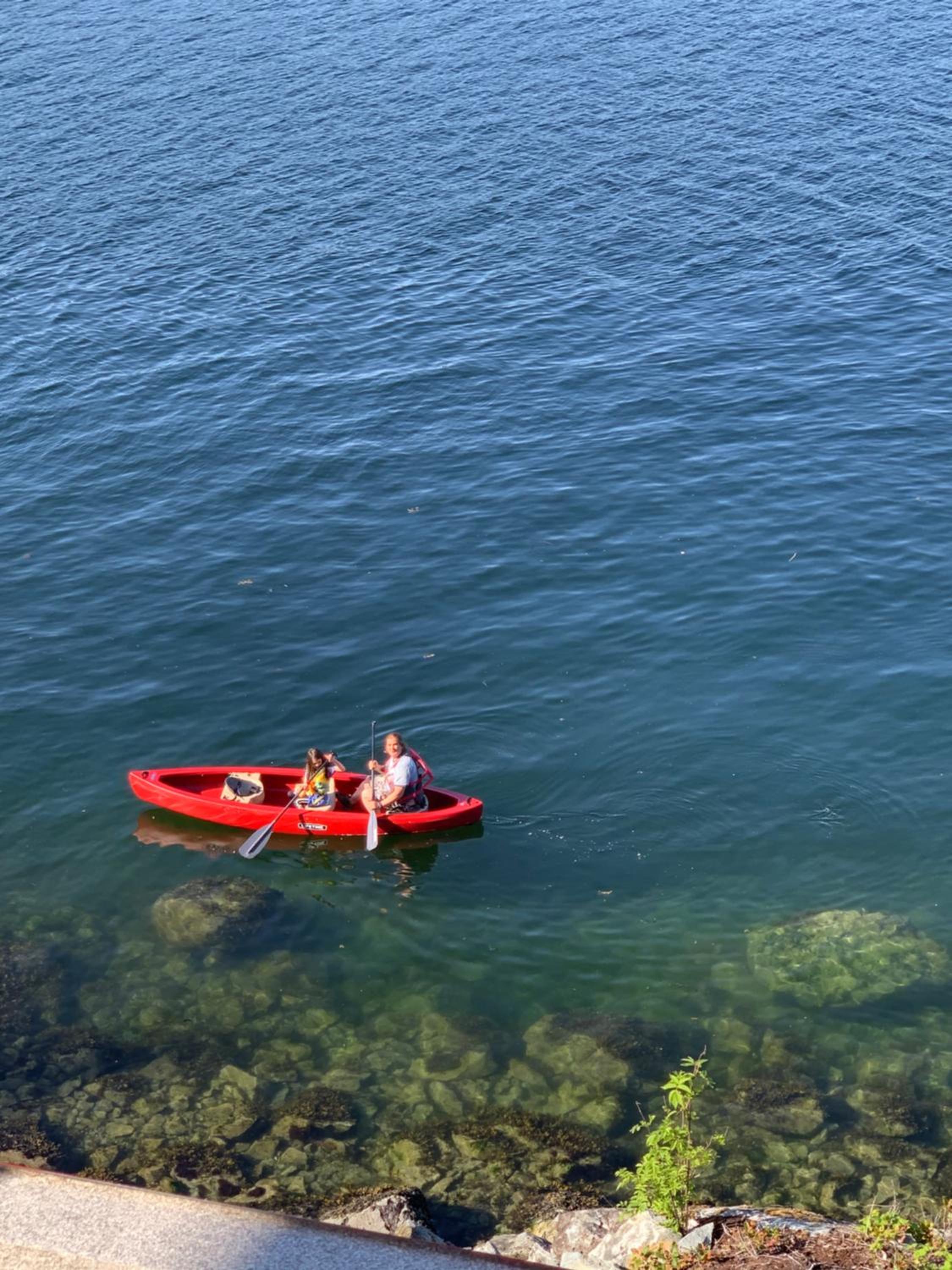 Earls Cove Orca View