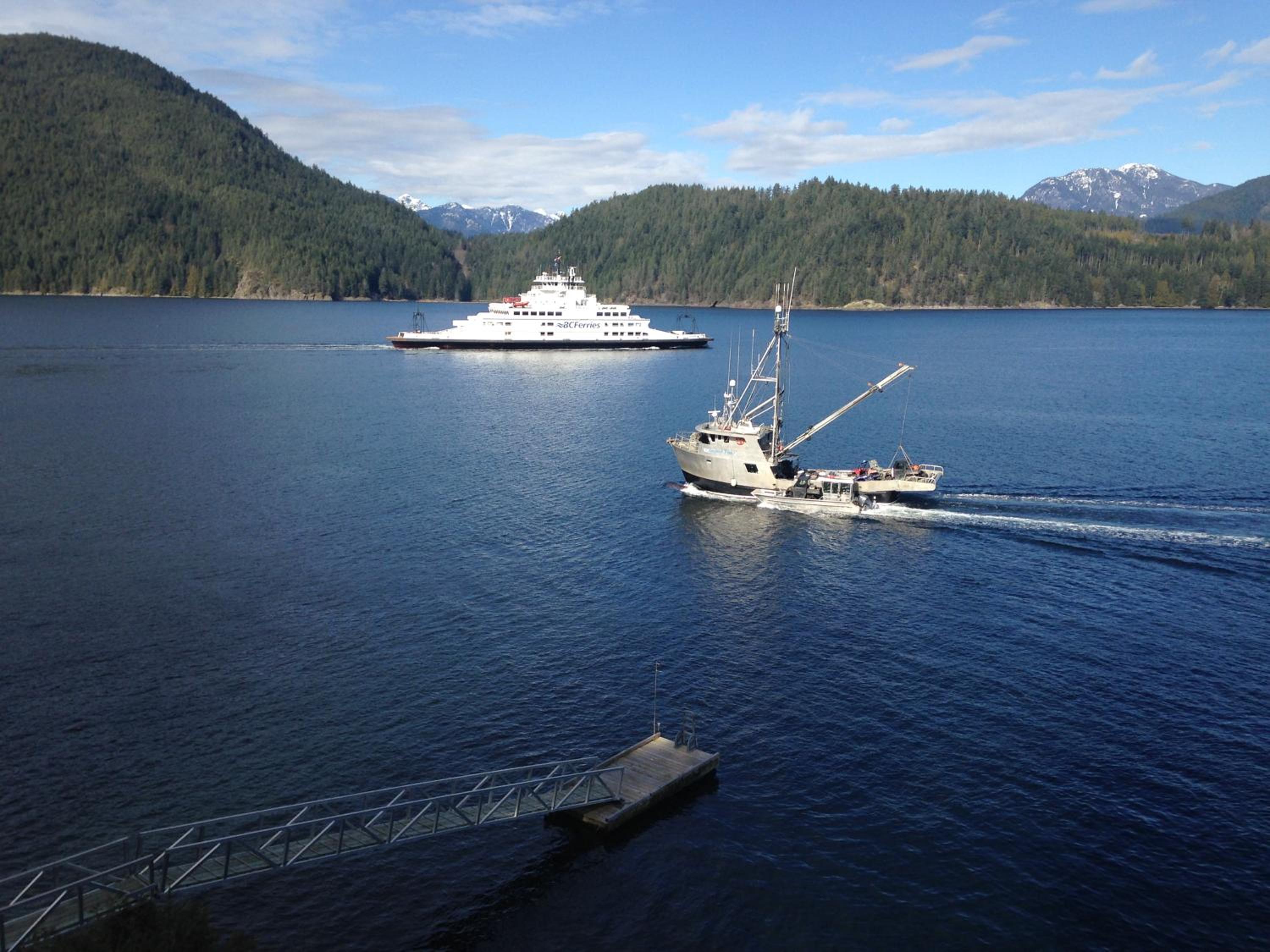 Earls Cove Orca View