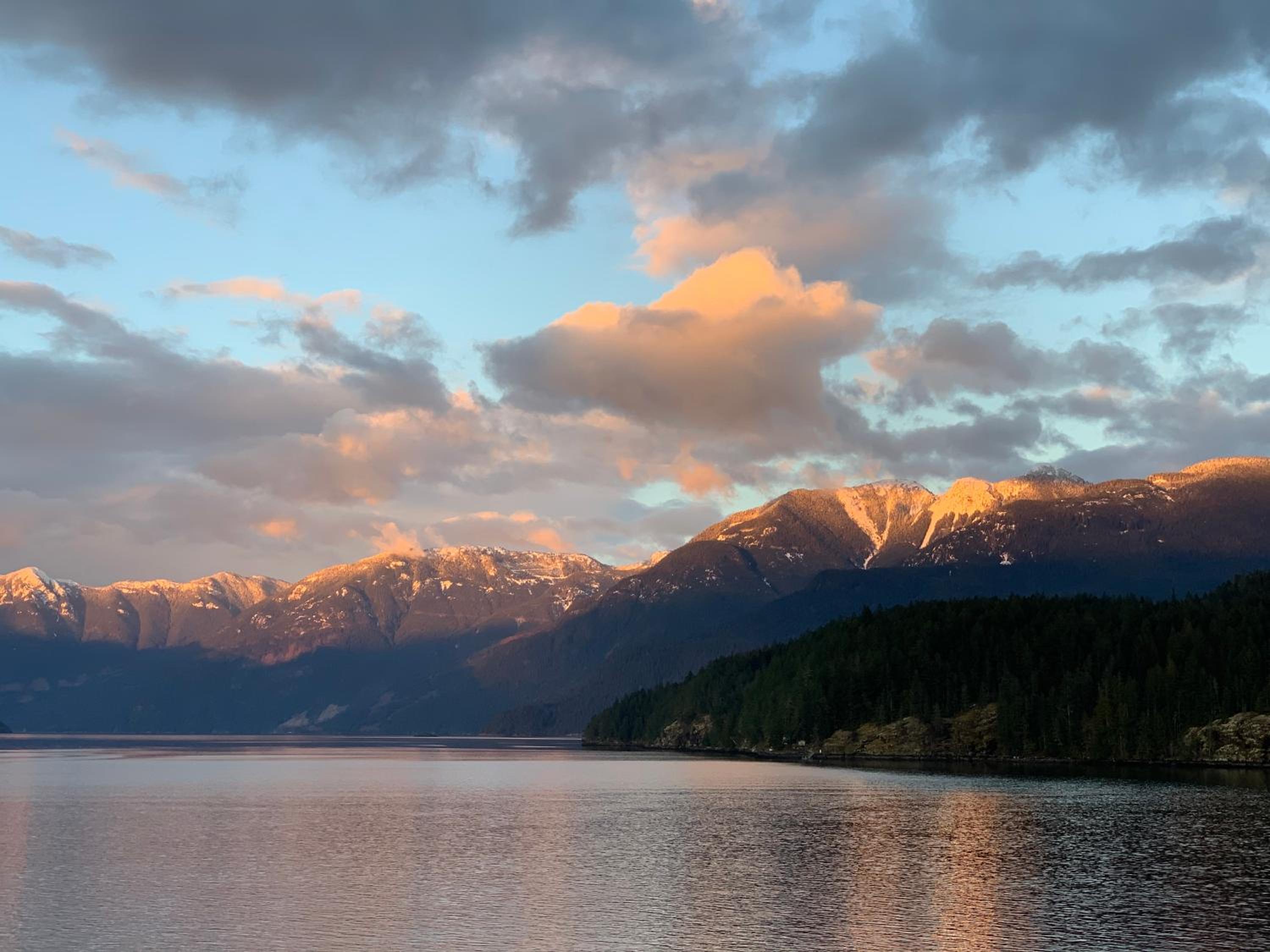 Earls Cove Orca View