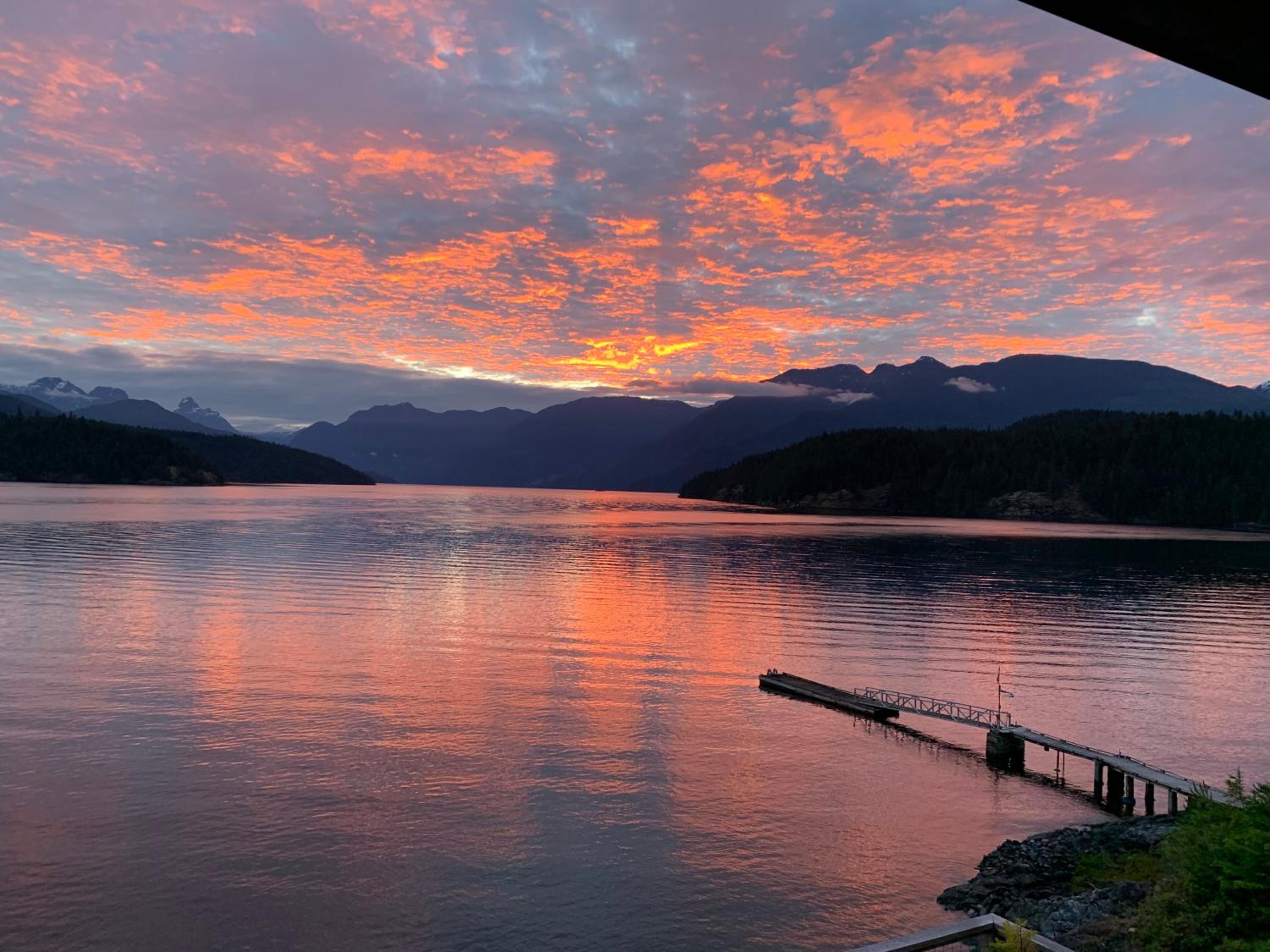 Earls Cove Orca View