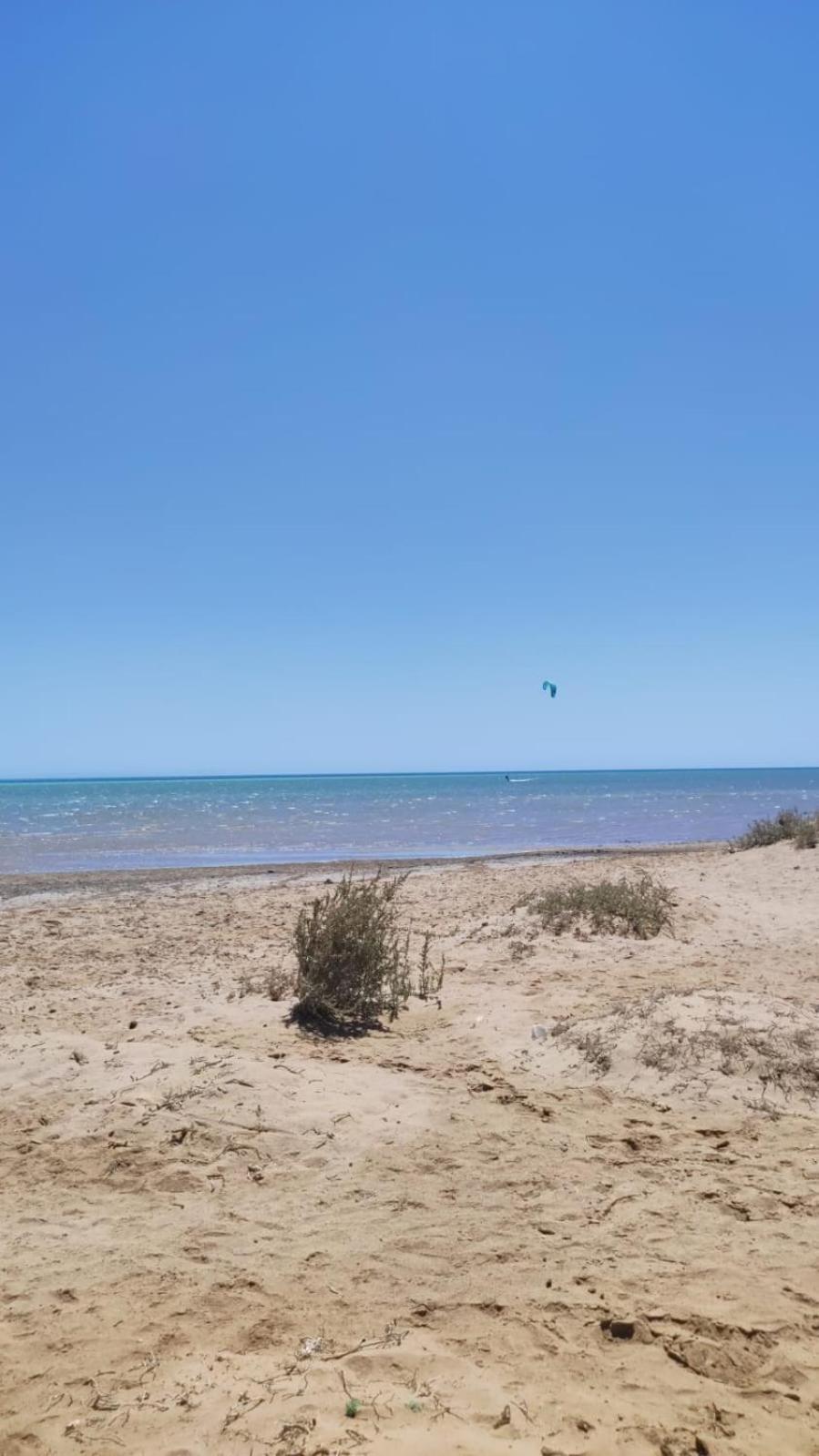 Photo 33