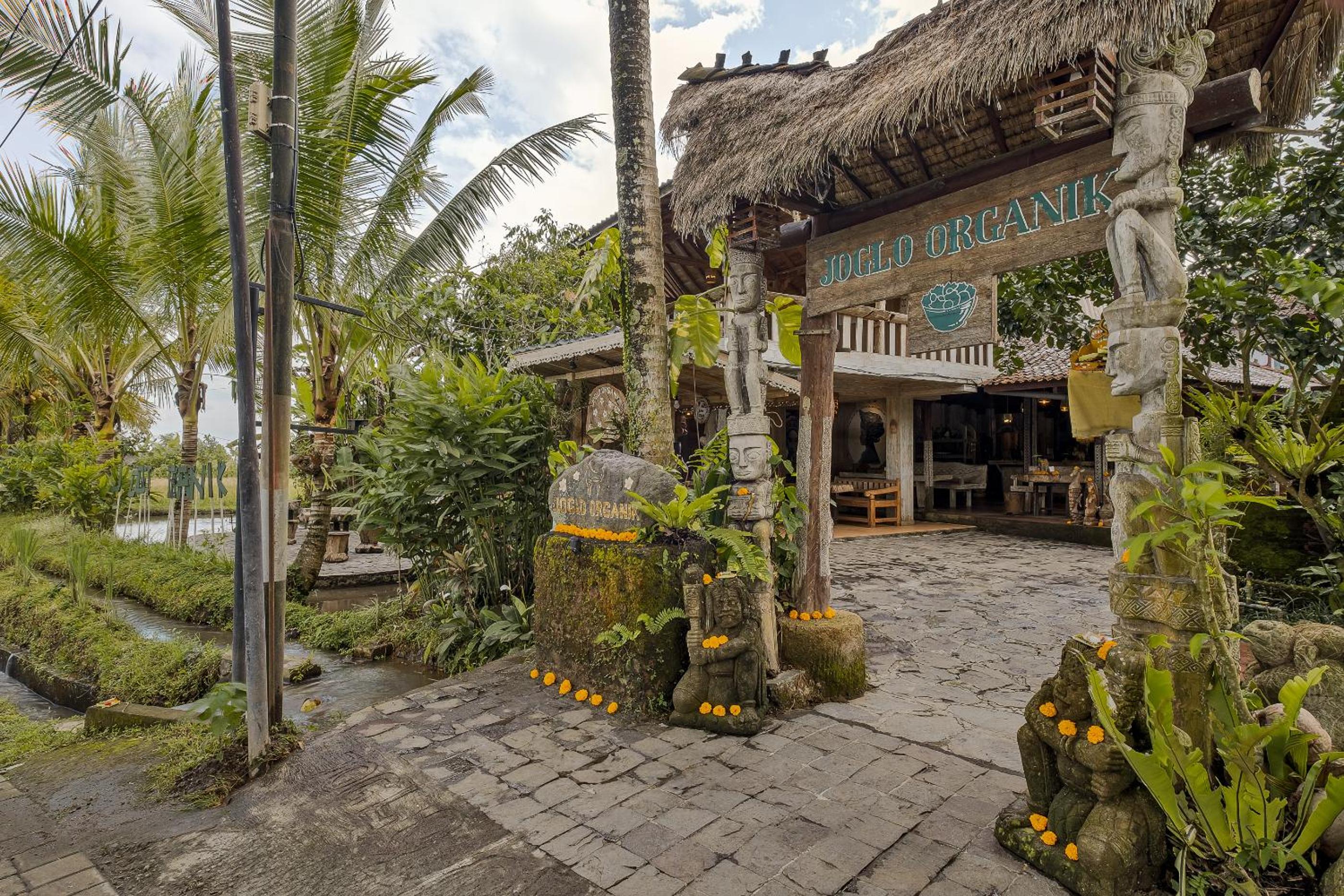 Joglo Organik Ubud view 4