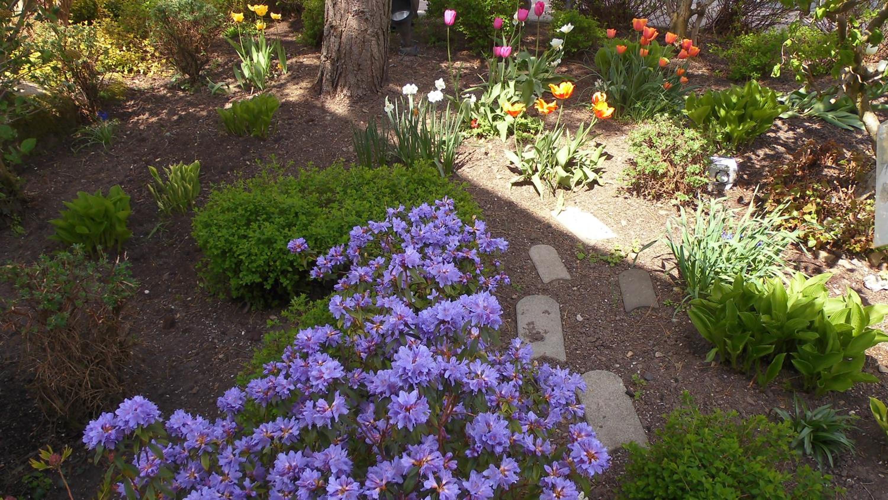 Photo 47