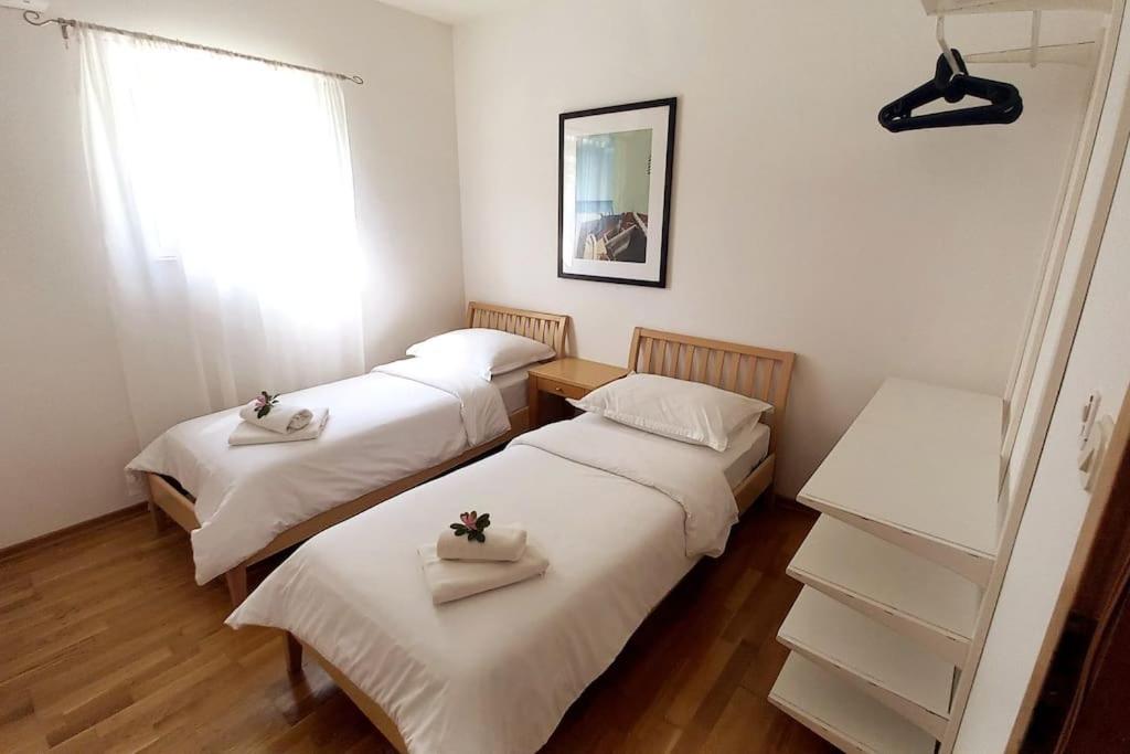 Rosa apartment Mirca