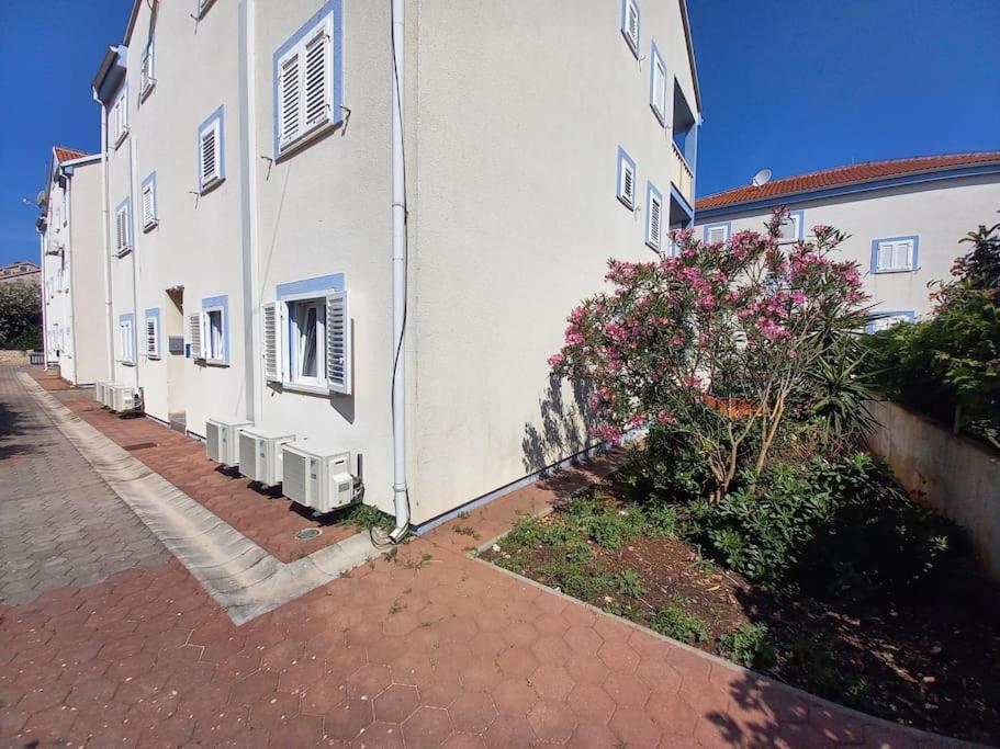 Rosa apartment Mirca