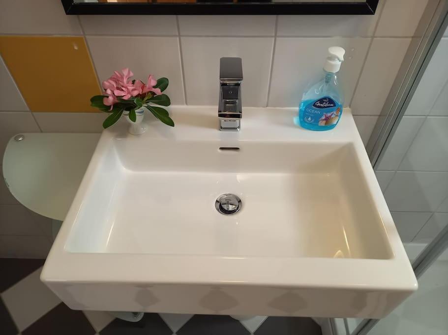 Rosa apartment Mirca