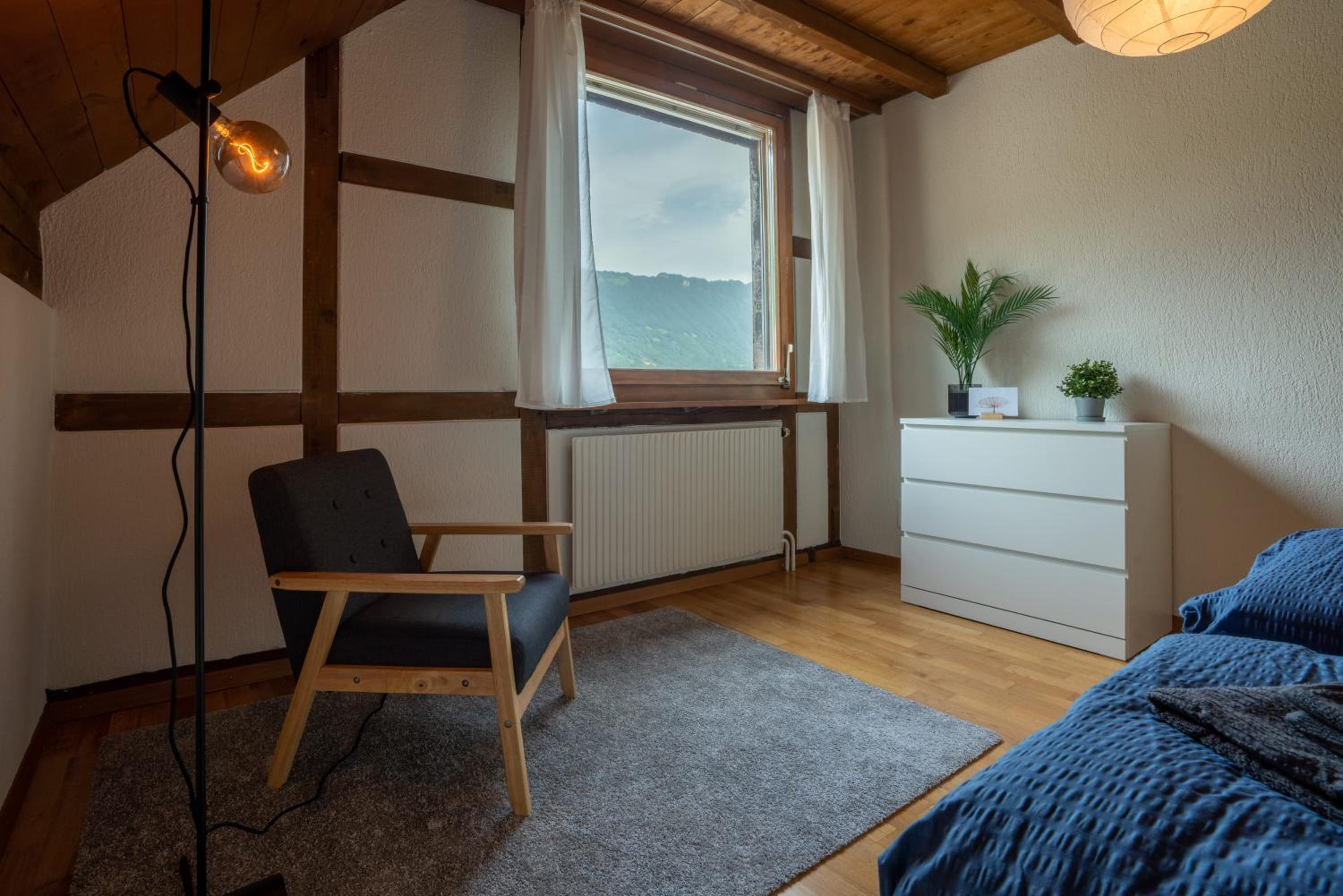 Jungfrau-View Apartment, terrace & free parking