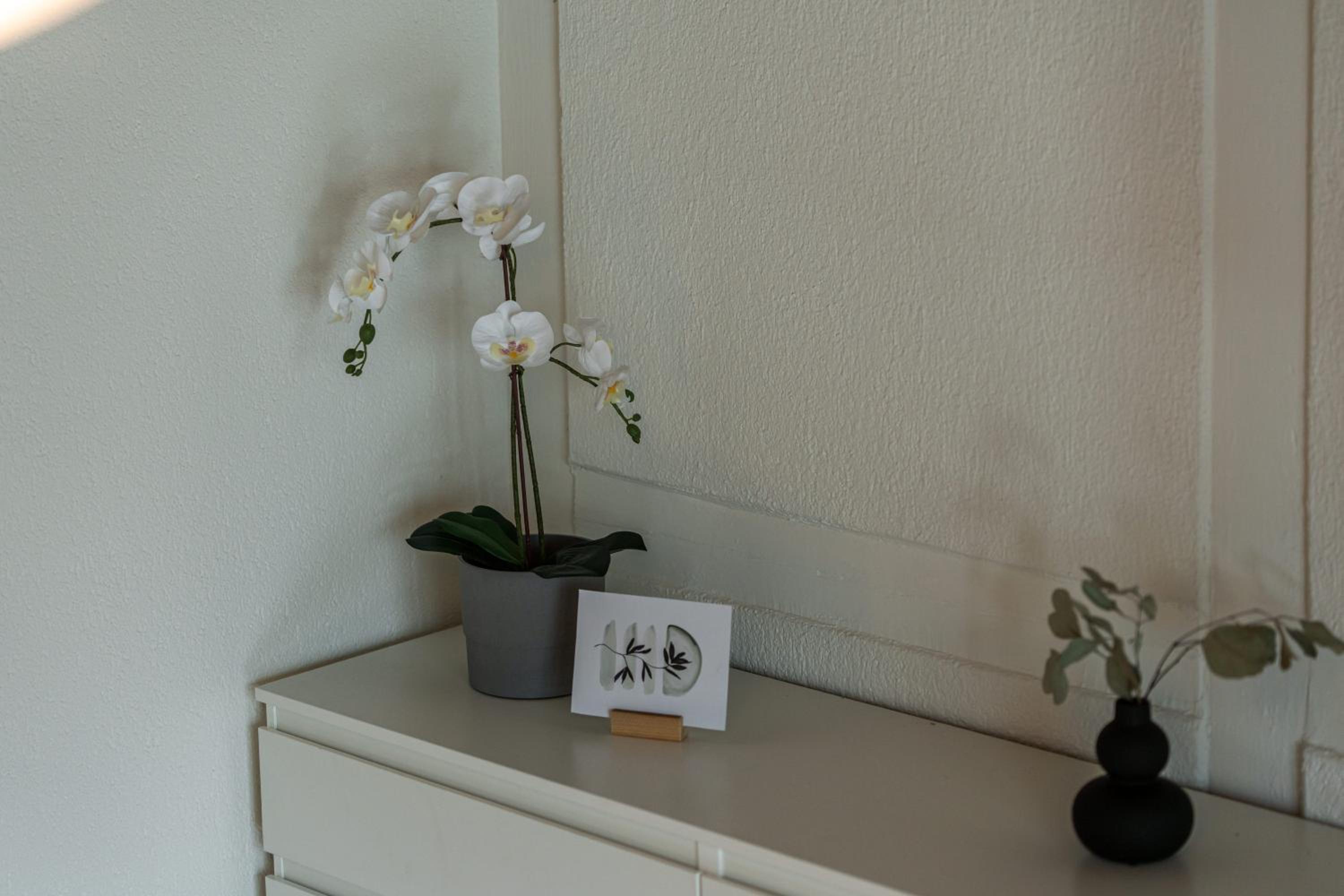 Jungfrau-View Apartment, terrace & free parking