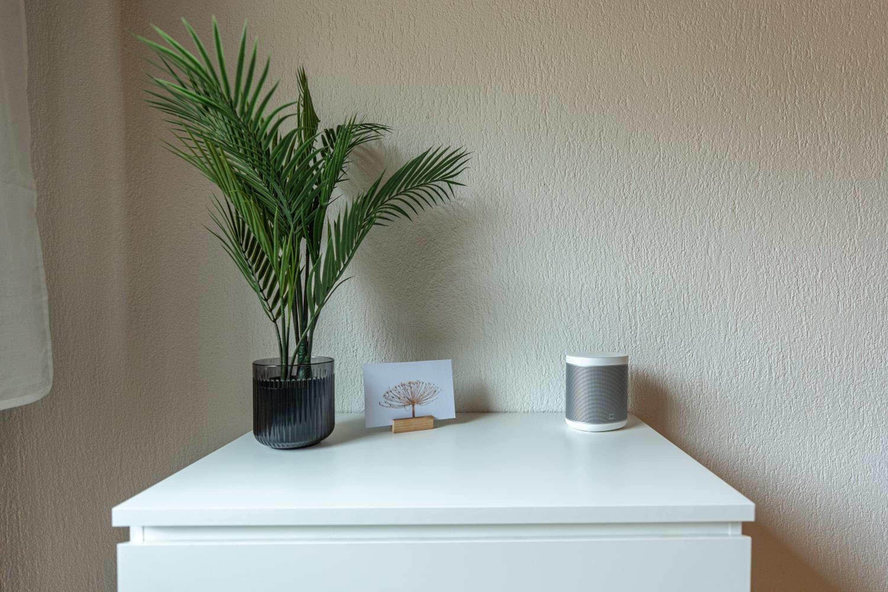 Jungfrau-View Apartment, terrace & free parking