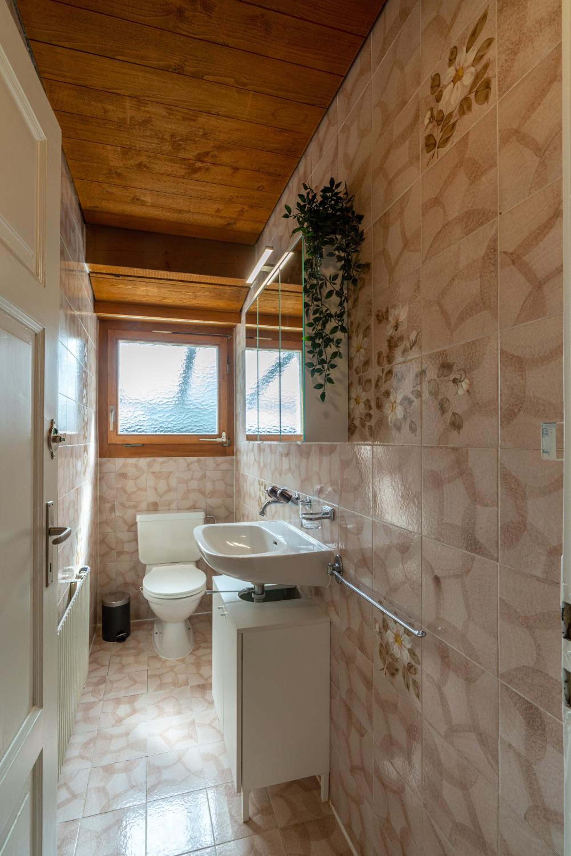 Jungfrau-View Apartment, terrace & free parking