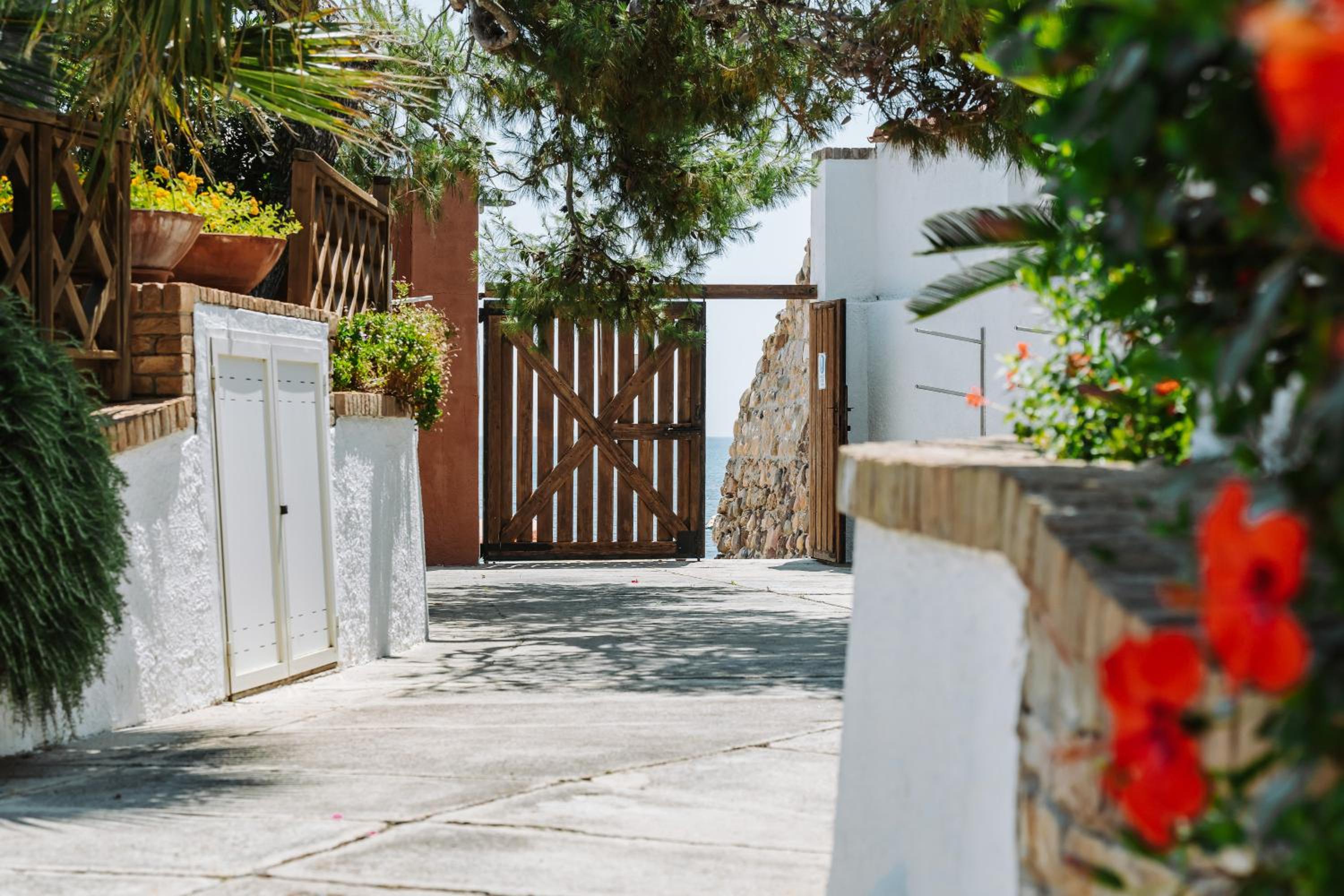 Villa Olga accesso Privato al Mare view 5