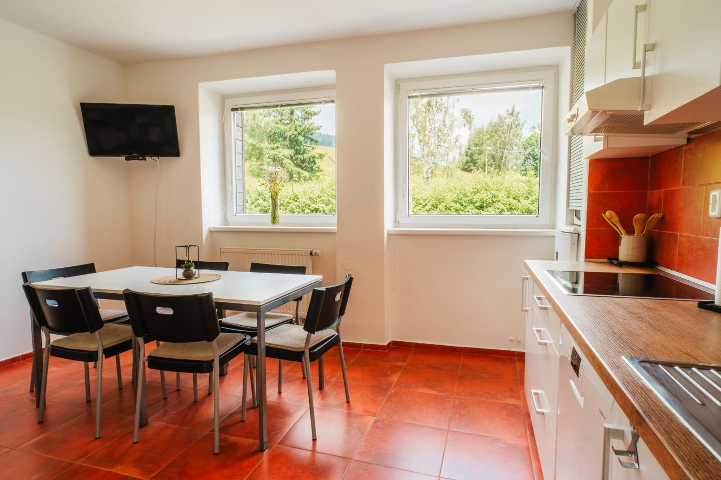 Apartmány Špička - Stříbrnice u sjezdovky