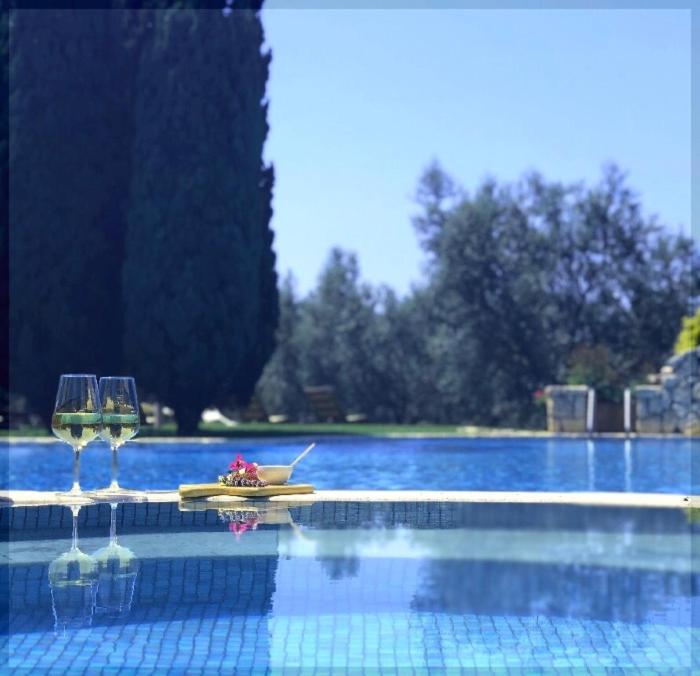 La Pecora Ladra Appartamenti
