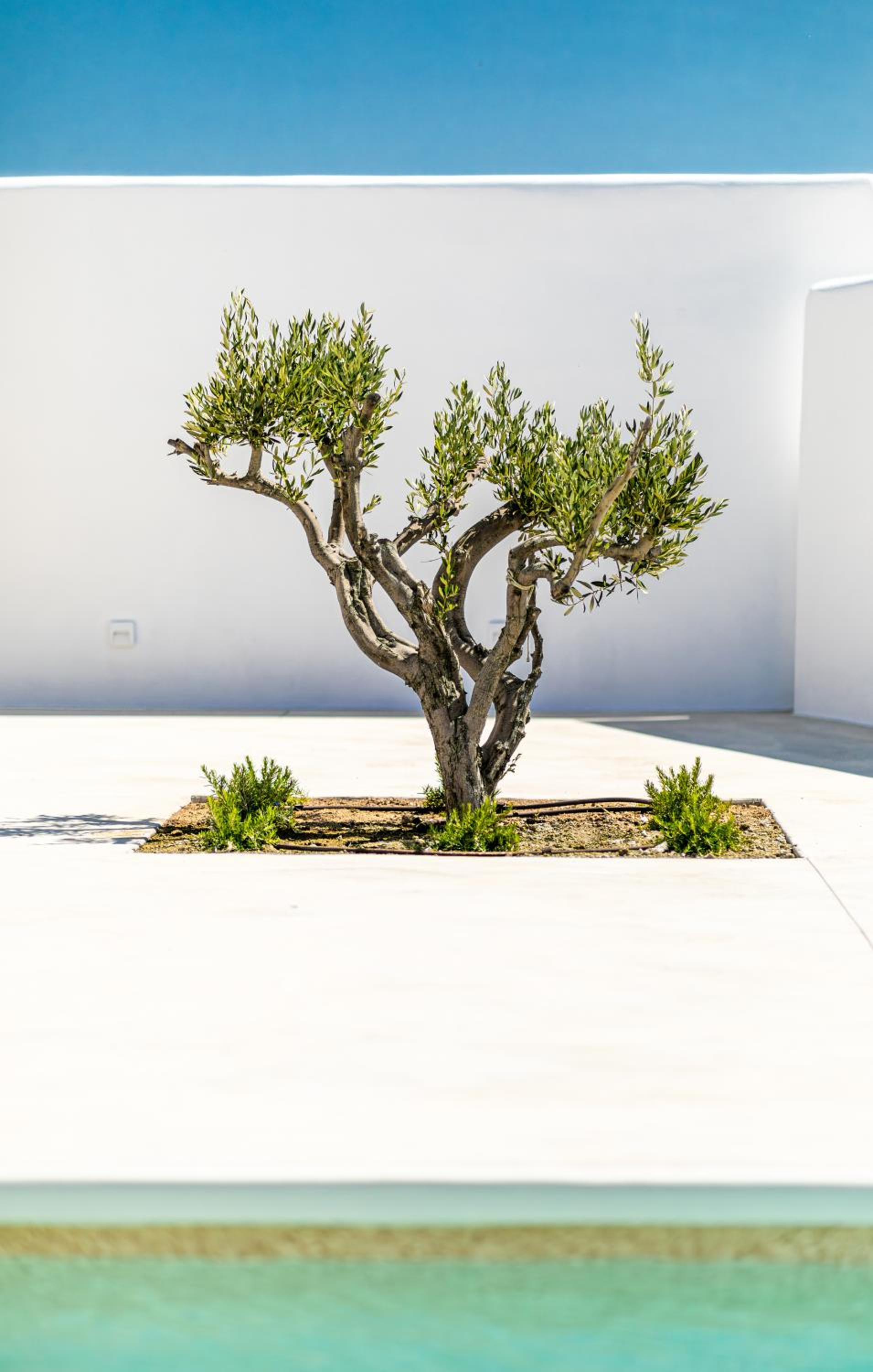 Petradia Villas photo 4