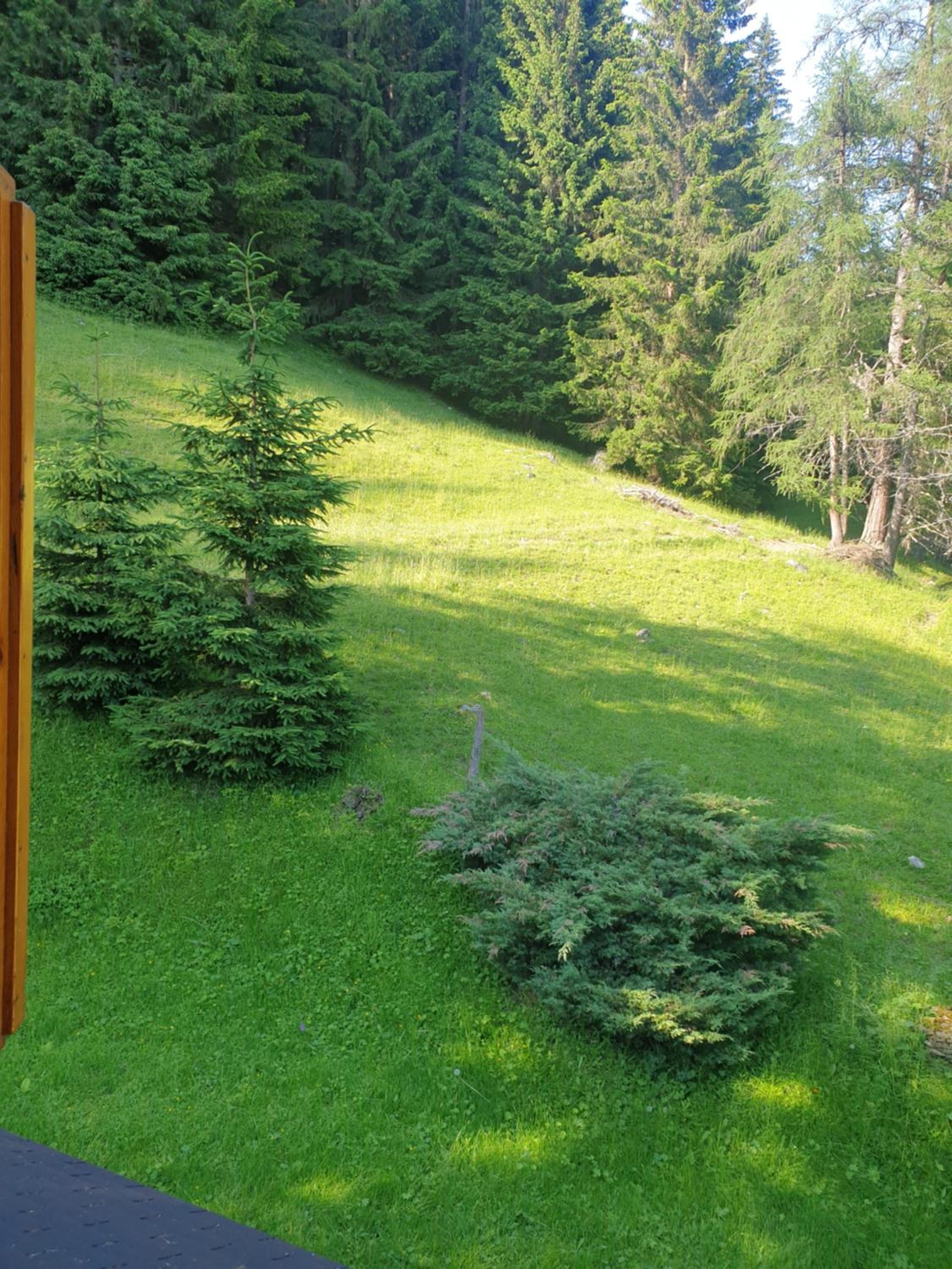 Almzeithütte am Seeberg